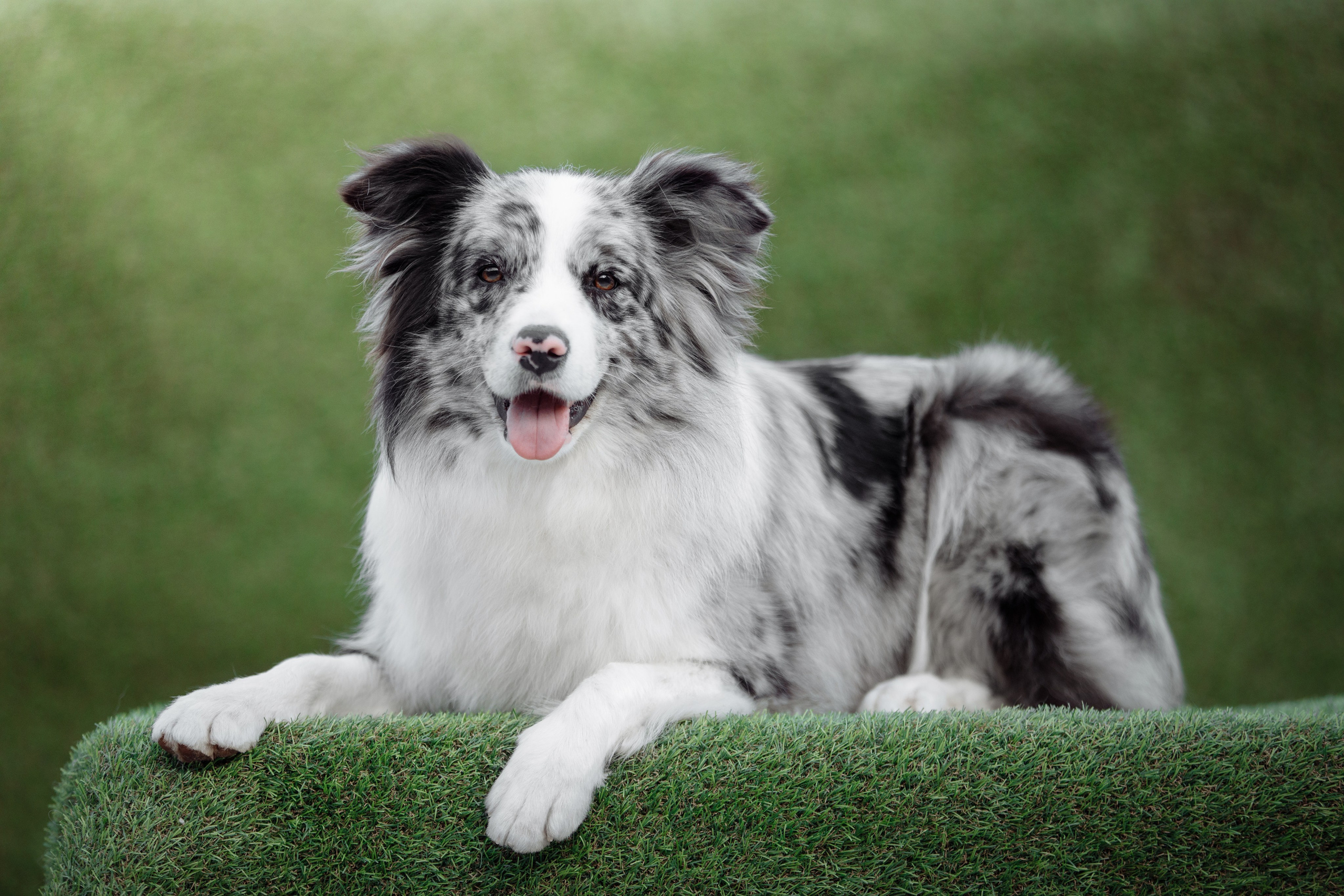 Свое место. О нас