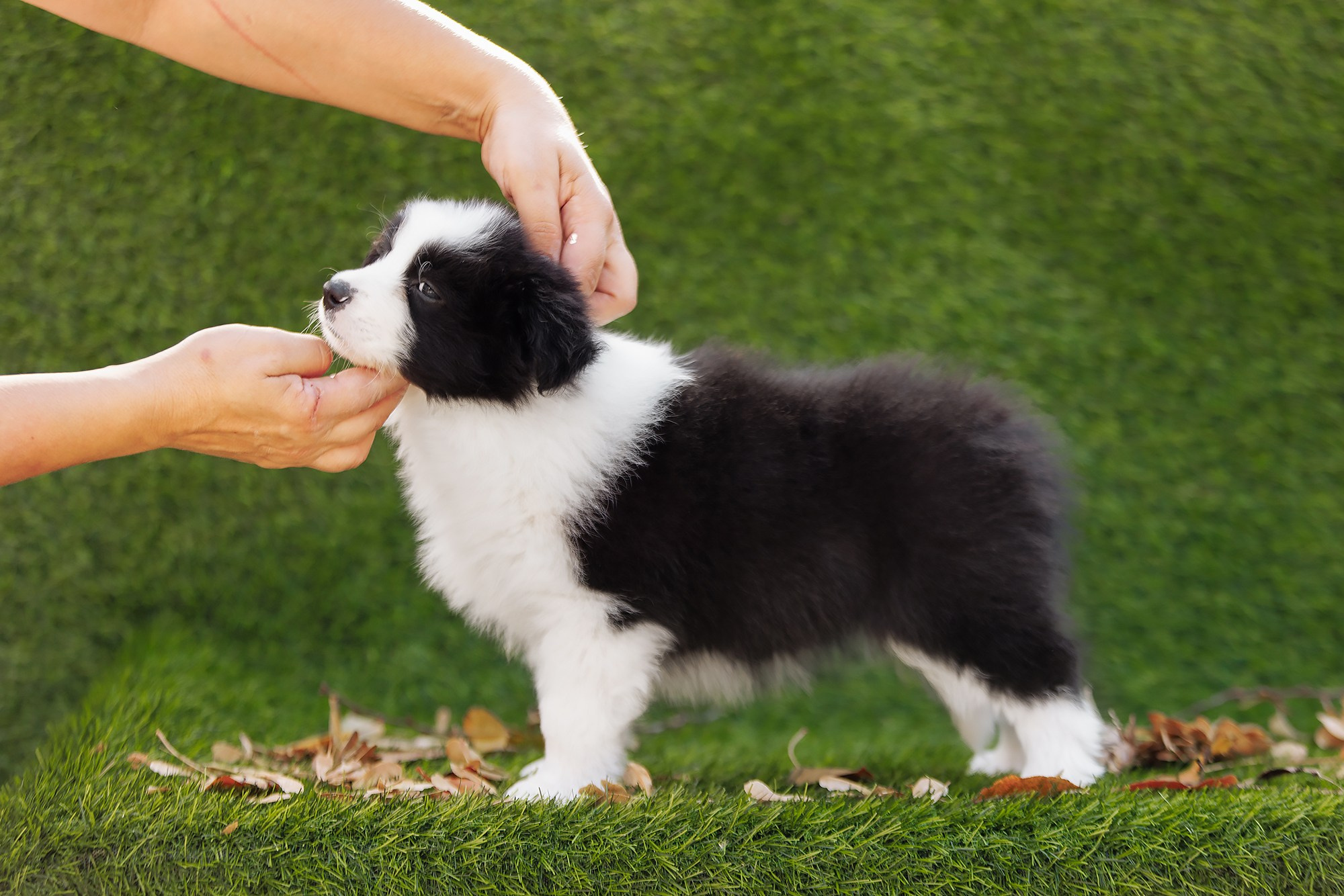 Новый лист. О нас
