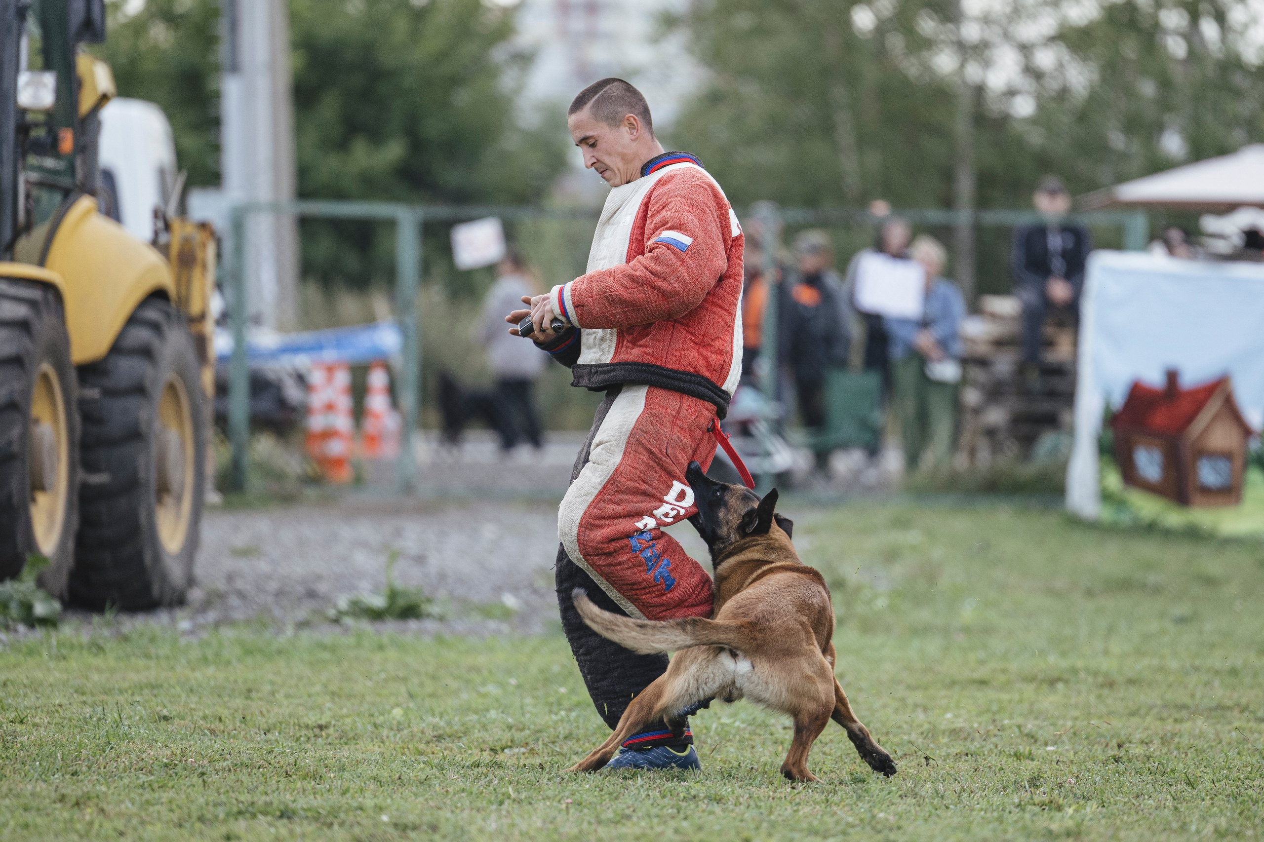 08.08.25-10.08.25 ЧР по мондьорингу г. Вологда. Фотограф-анималист Анна Маринич