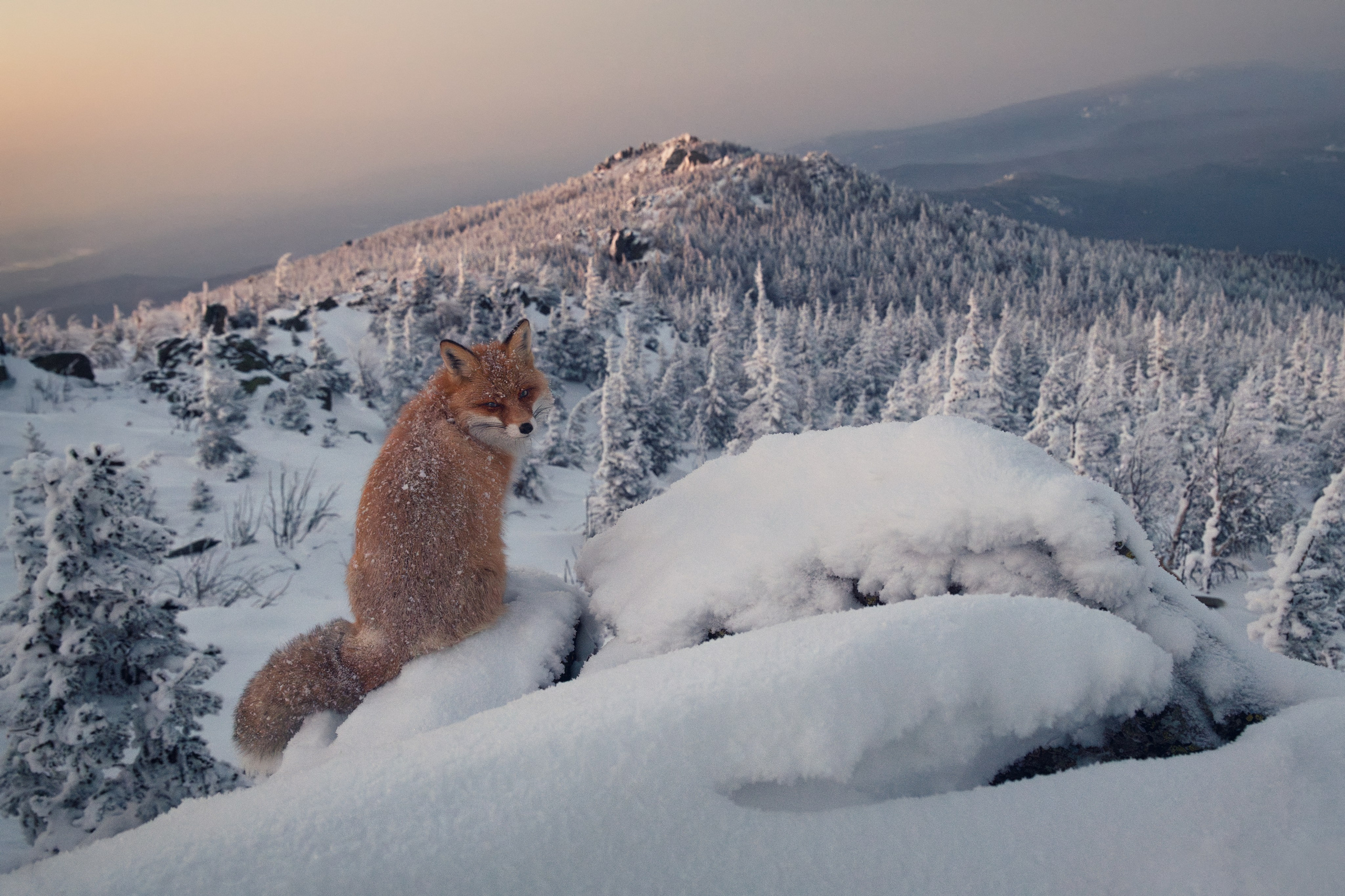 Урал. Елена Лебедева. Фотограф