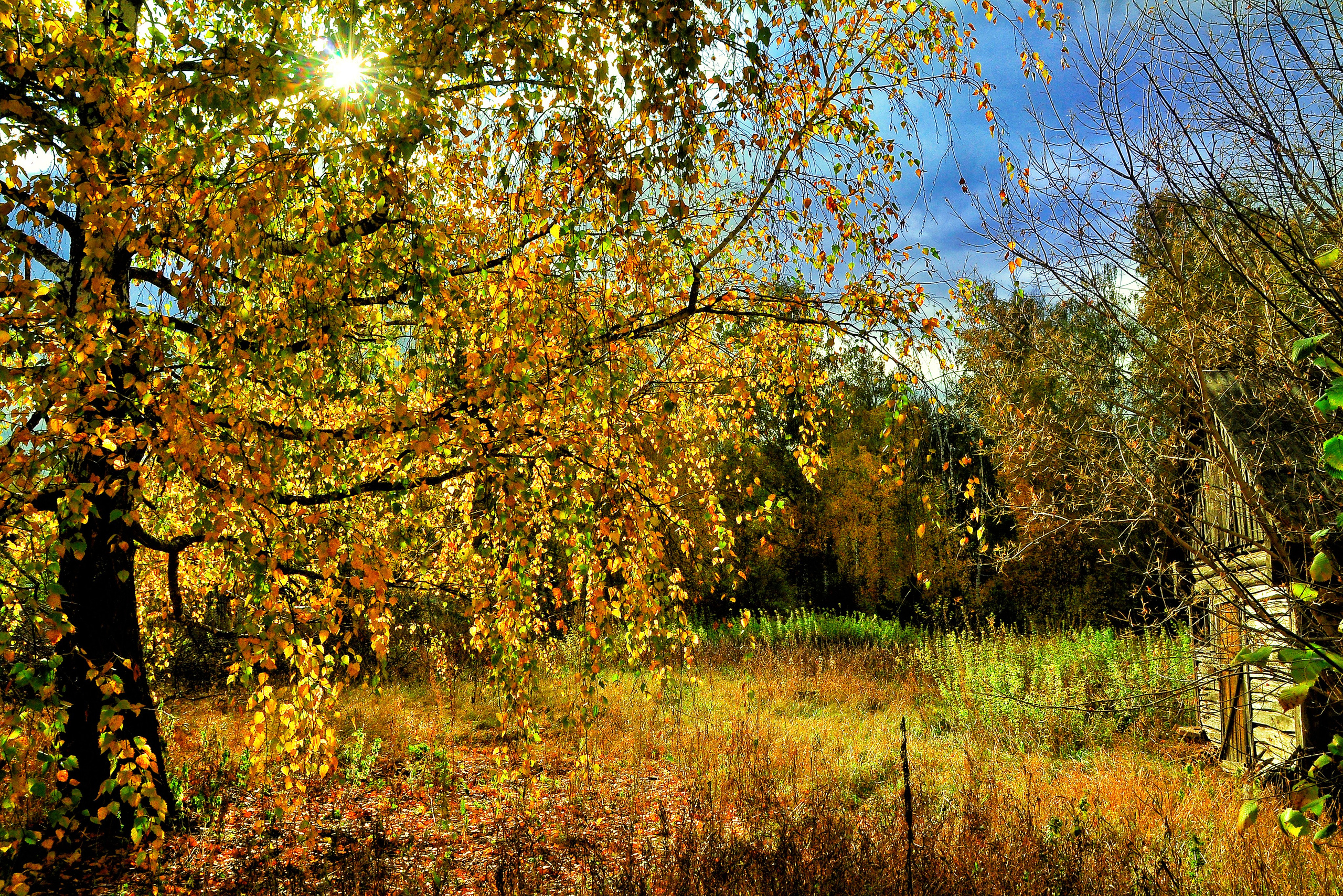 Природа. Главная