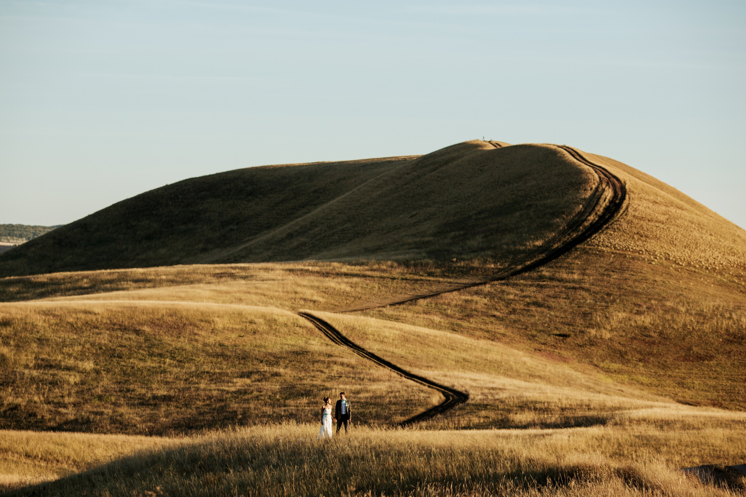 Суходол. Wedding photographer
