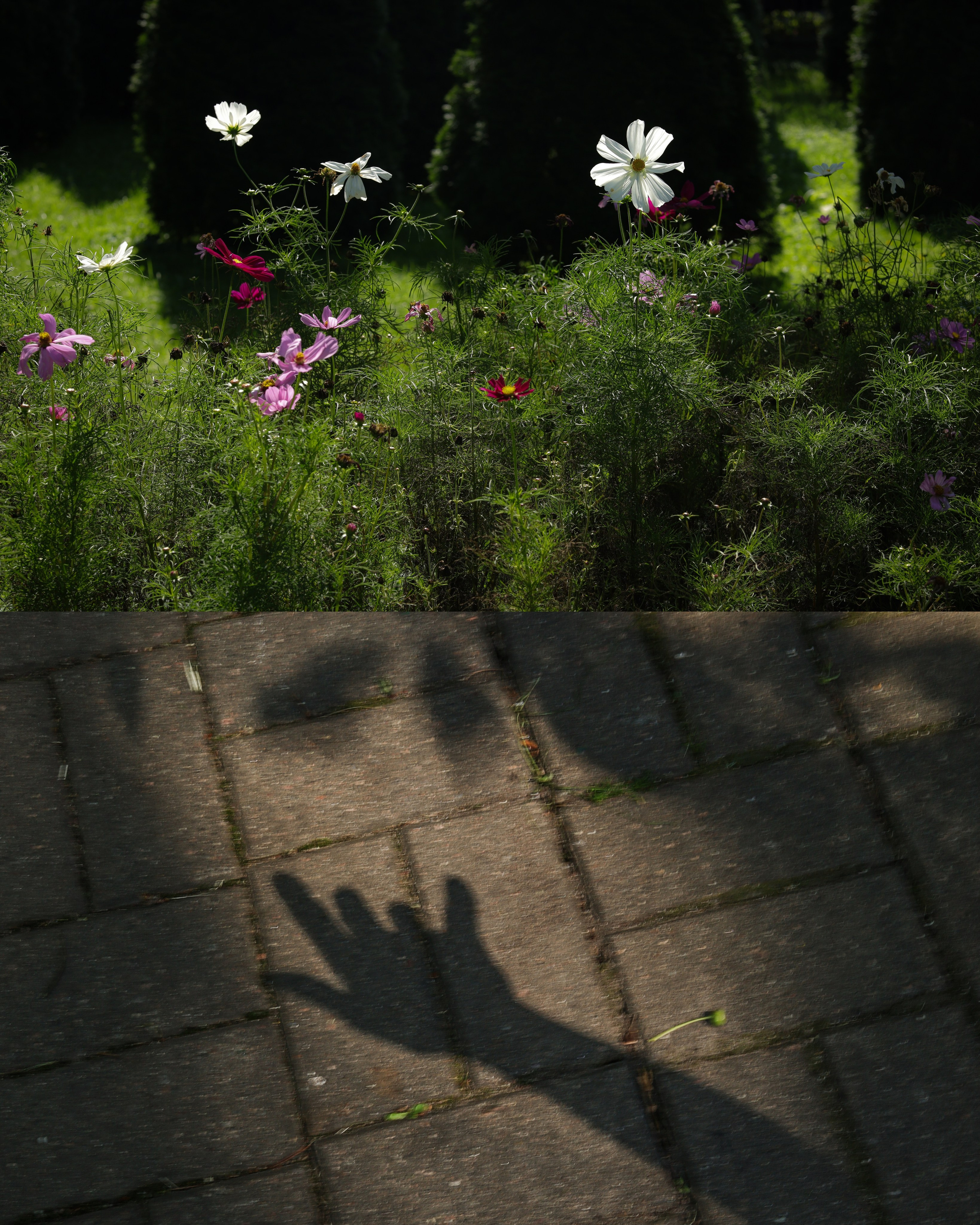 Пространства &. Фотохудожник в СПб