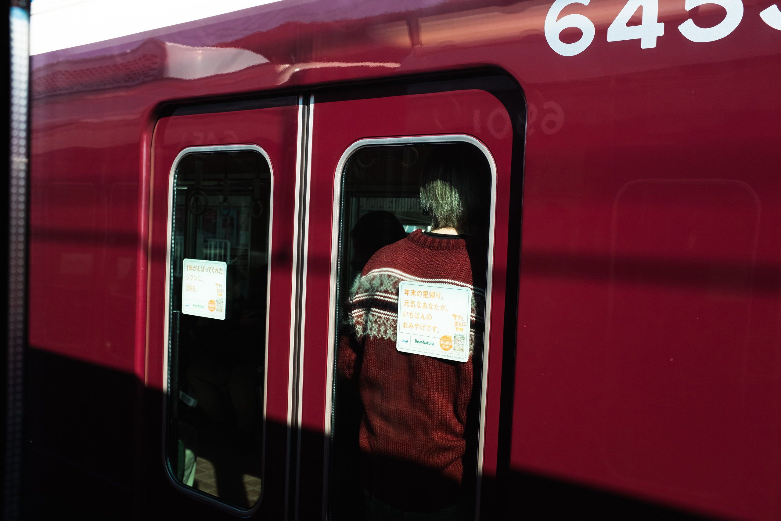 Kyoto. Regina Platonova