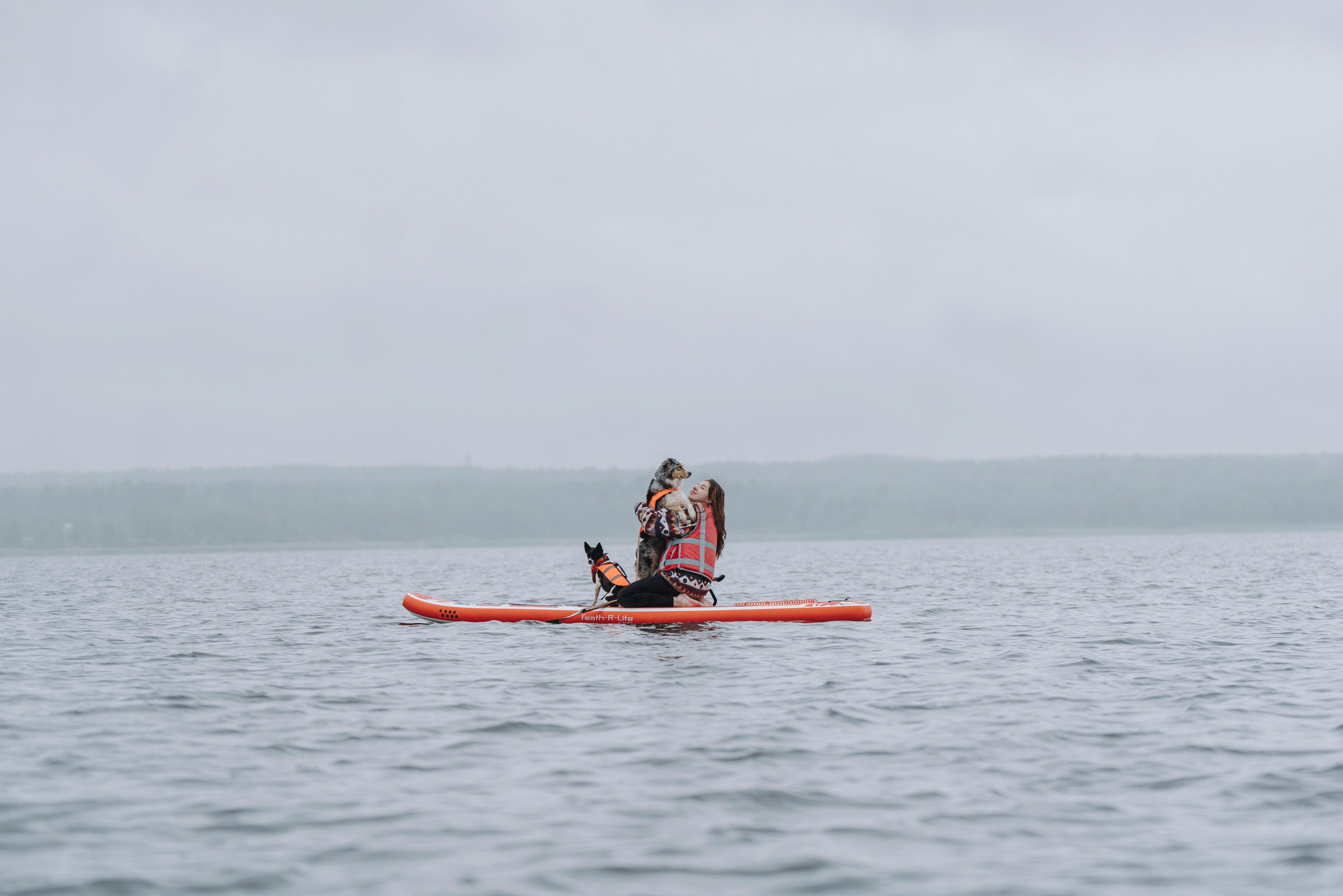 Катание на сапах с собаками. Фотограф анималист в Спб недорого Олеся Майорова