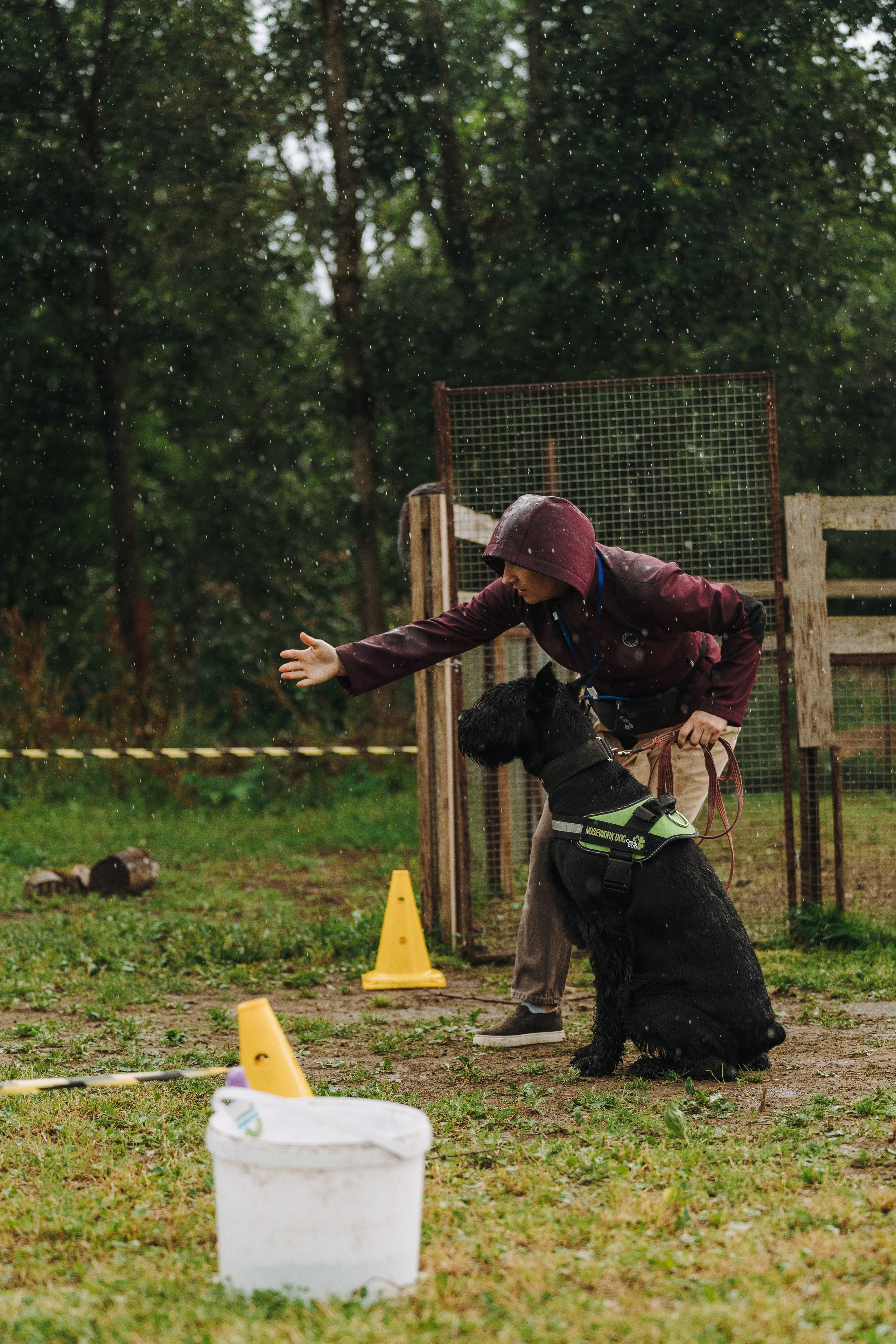 Соревнования по ноузворку в Новожилово. Фотограф анималист в Спб недорого Олеся Майорова