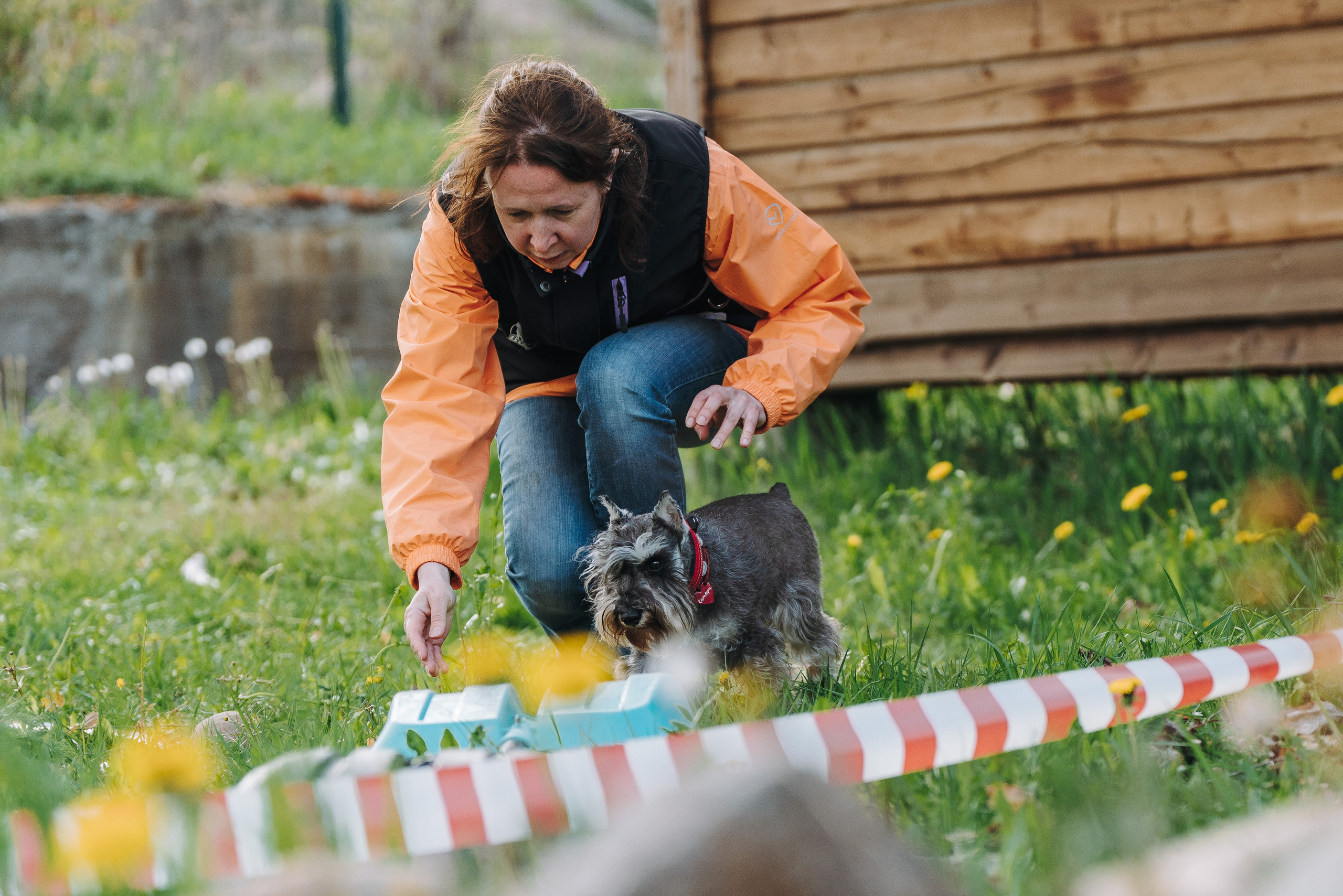 Соревнования по ноузворку в Лосево. Фотограф анималист в Спб недорого Олеся Майорова