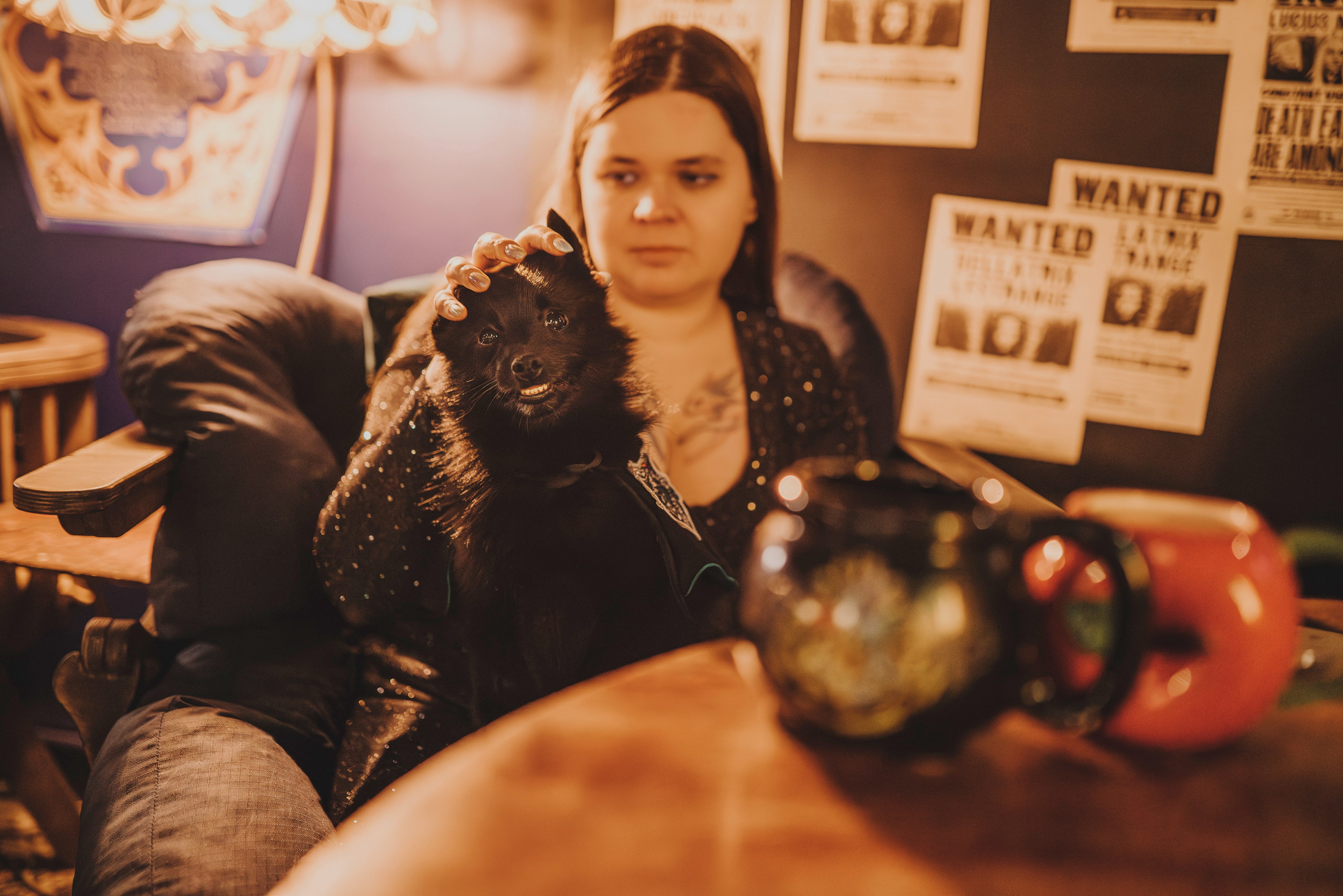 Аня, Андуин и Тесс. Фотограф анималист в Спб недорого Олеся Майорова