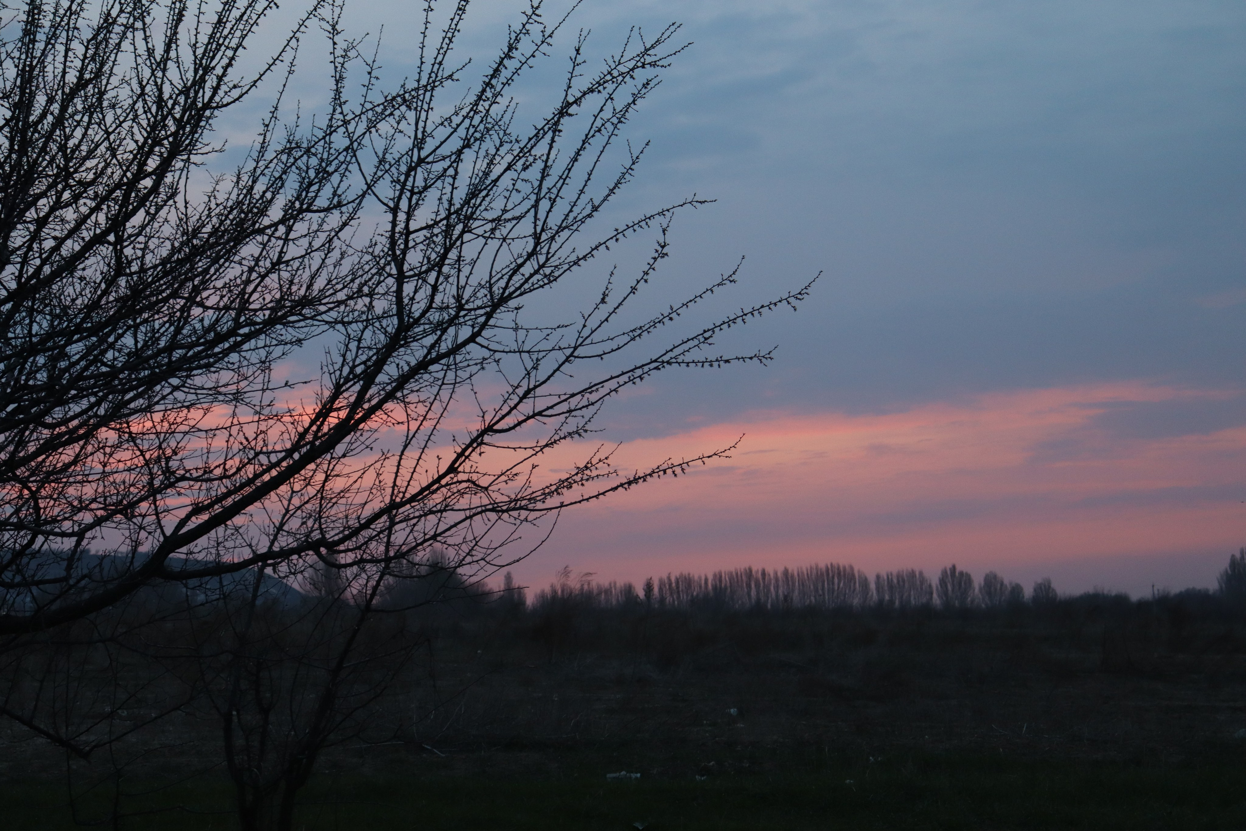 Muras-resort. Фотограф