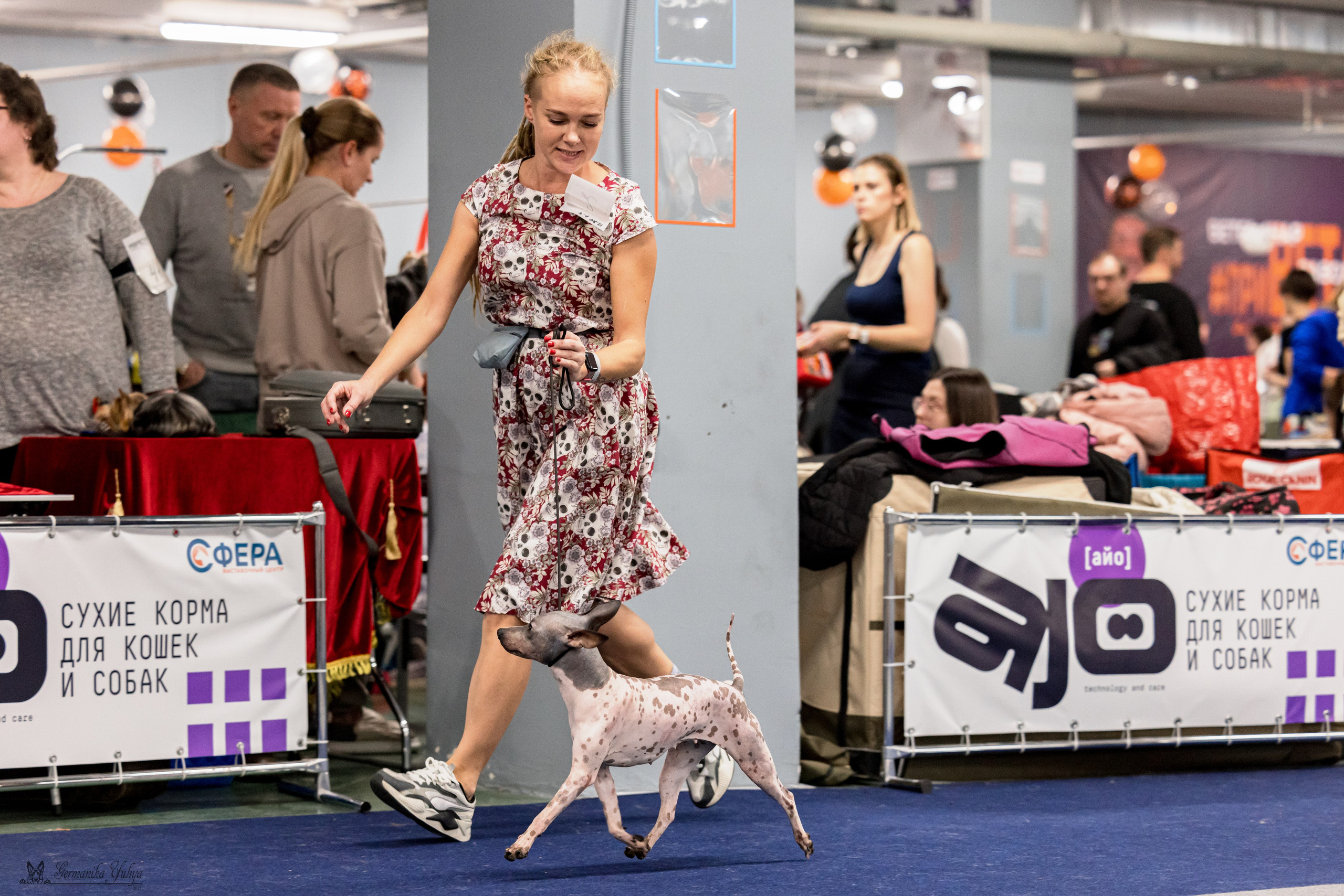 Сфера 29.10,Крокус 4.11,Сфера 12.11.2023. Фотограф-анималист Юлия Германика