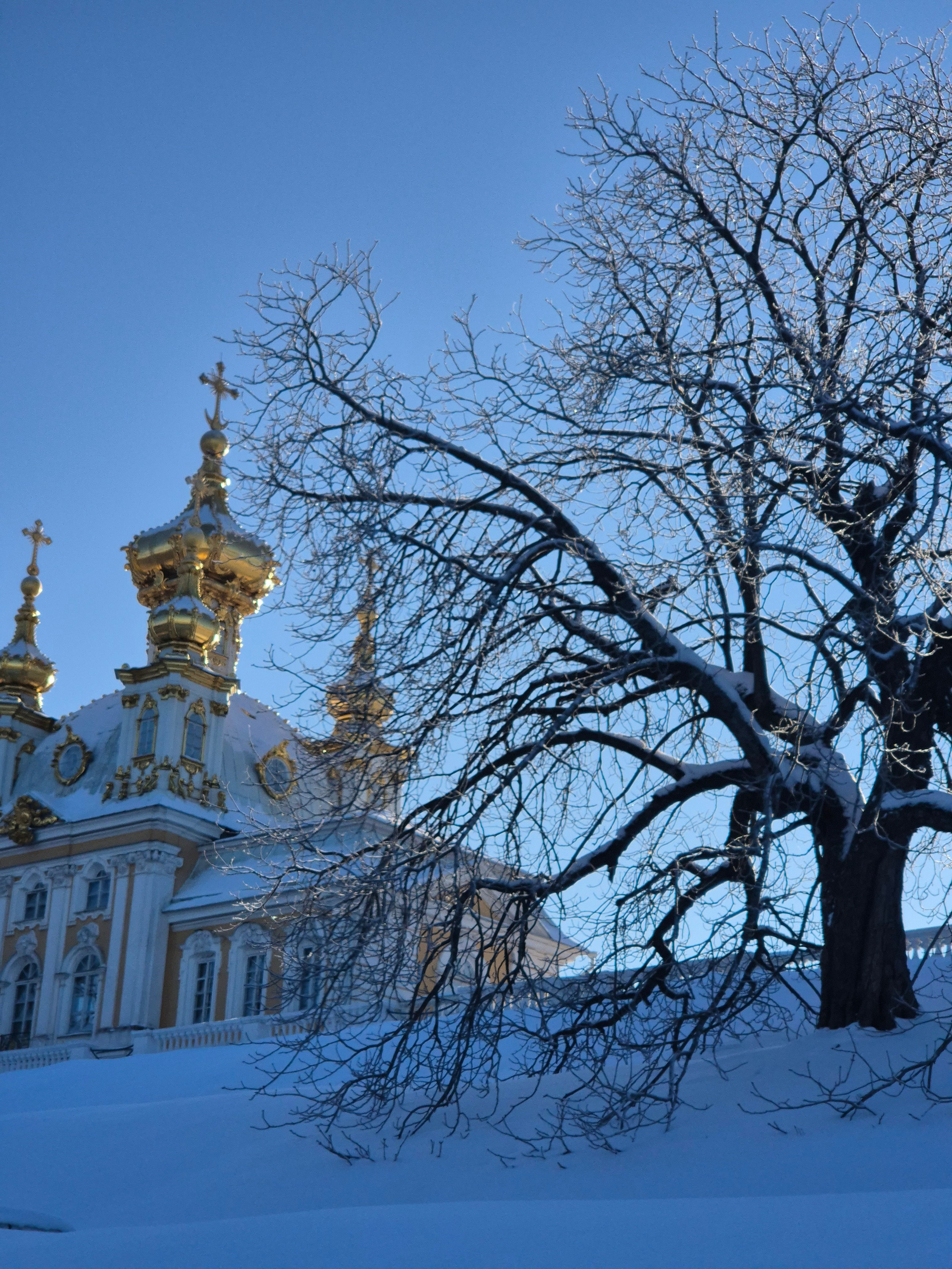 Спустились вниз к фонтану
