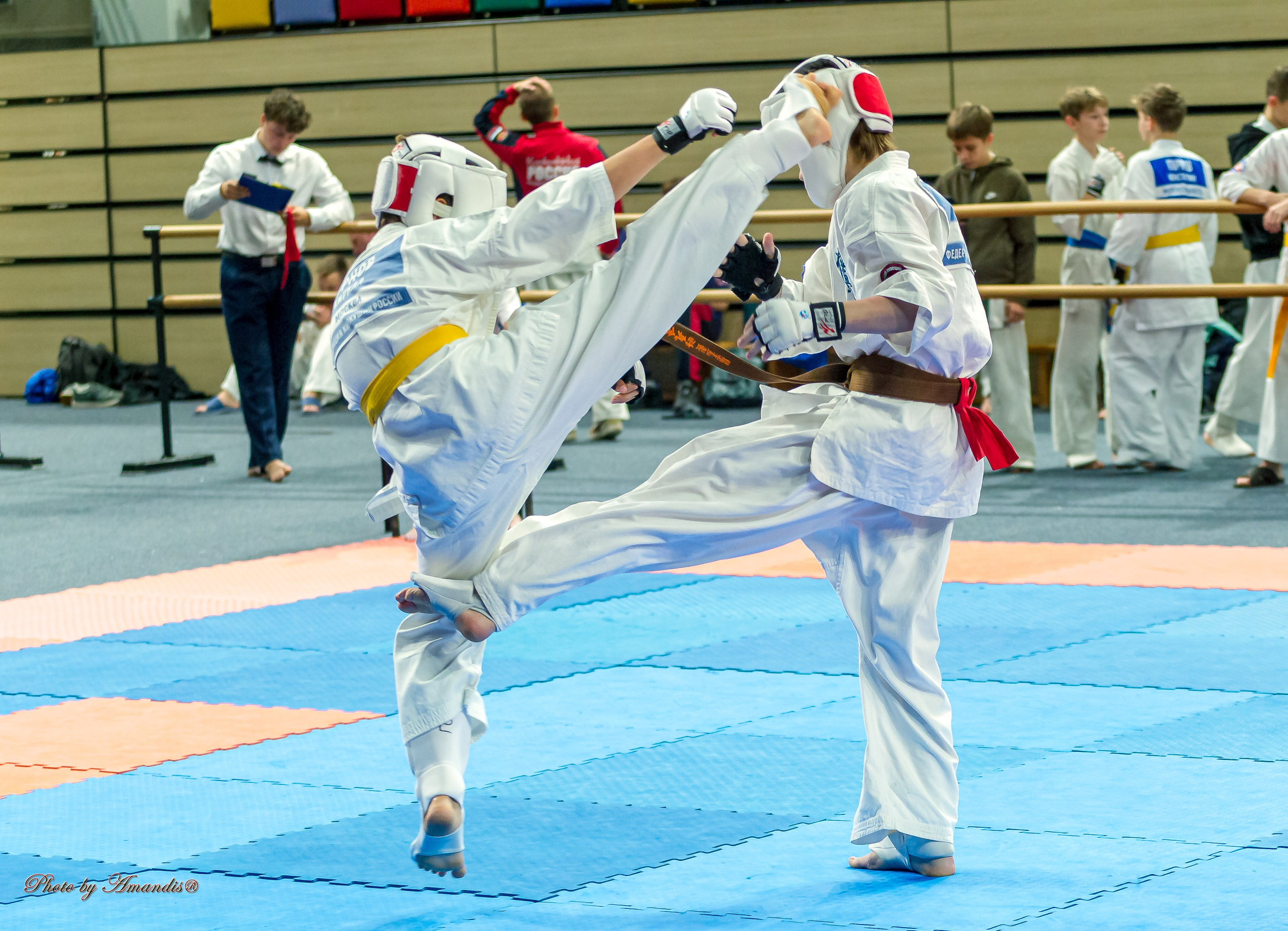 Первенство Московской области по Киокушин в СК «Жаворонки». Репортажная съемка в Москве и области. Анималистика