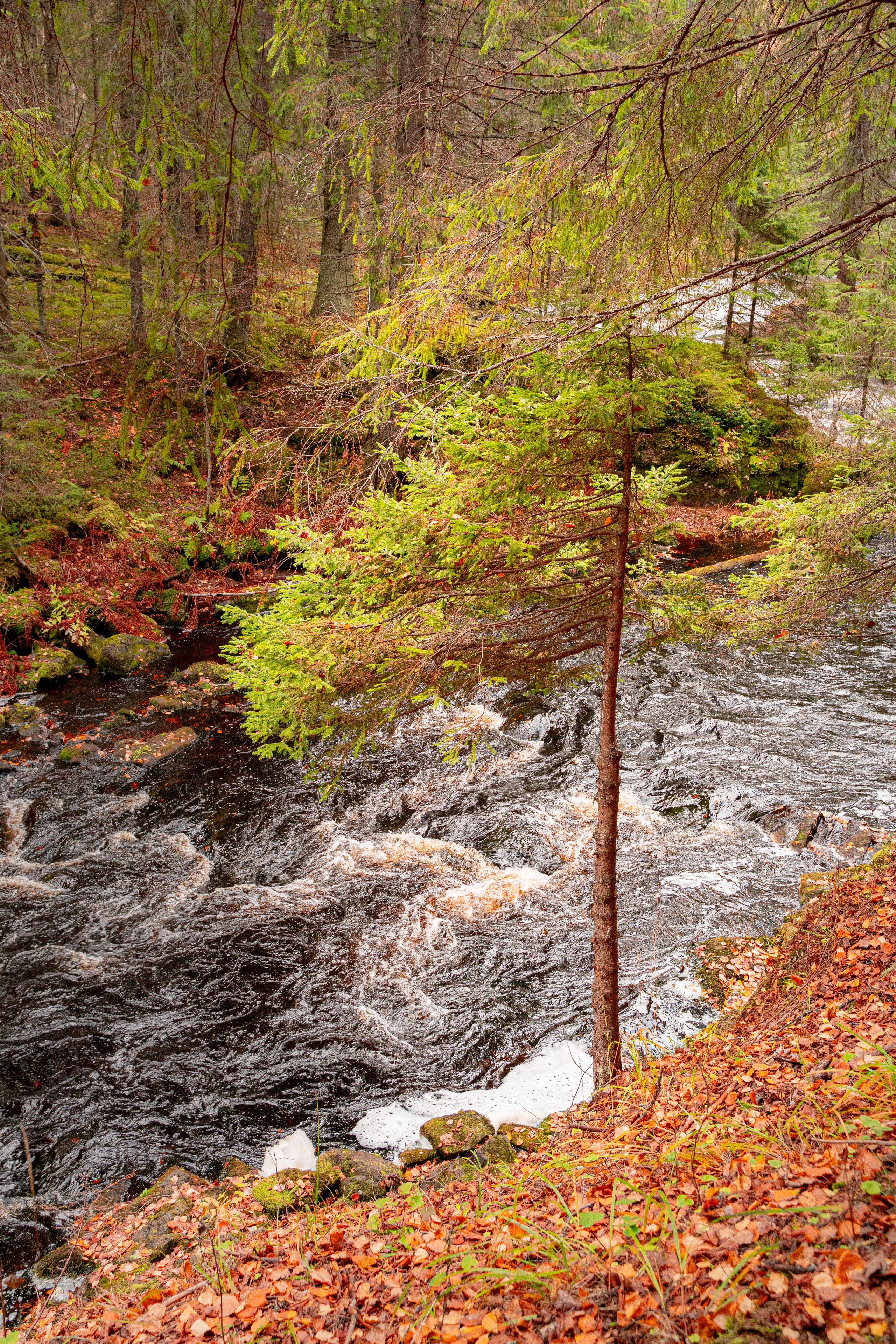 Пейзажи. Выпускные фотоальбомы Фотограф в Москве Устинович Алена