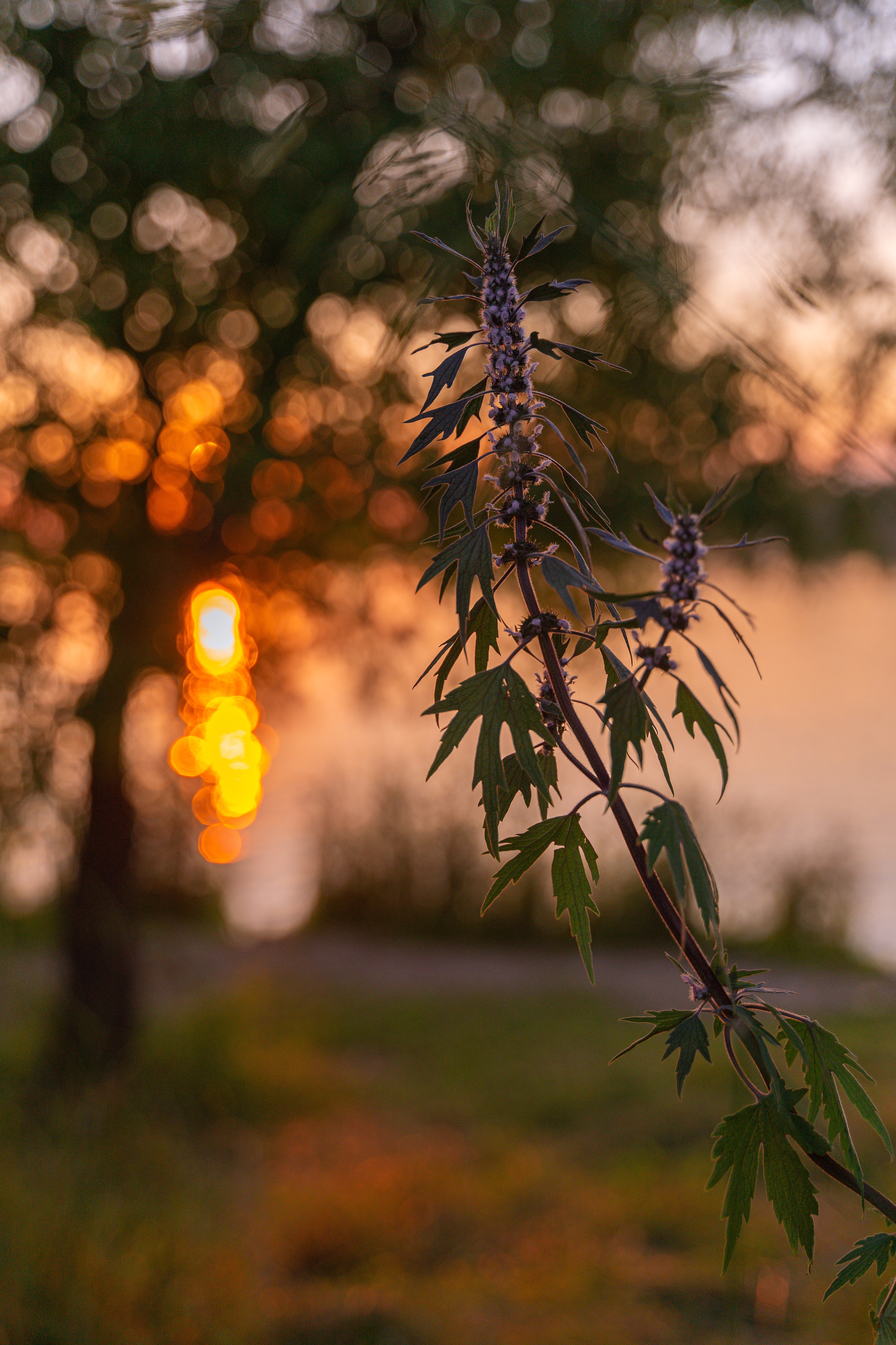Пейзажи. Выпускные фотоальбомы Фотограф в Москве Устинович Алена