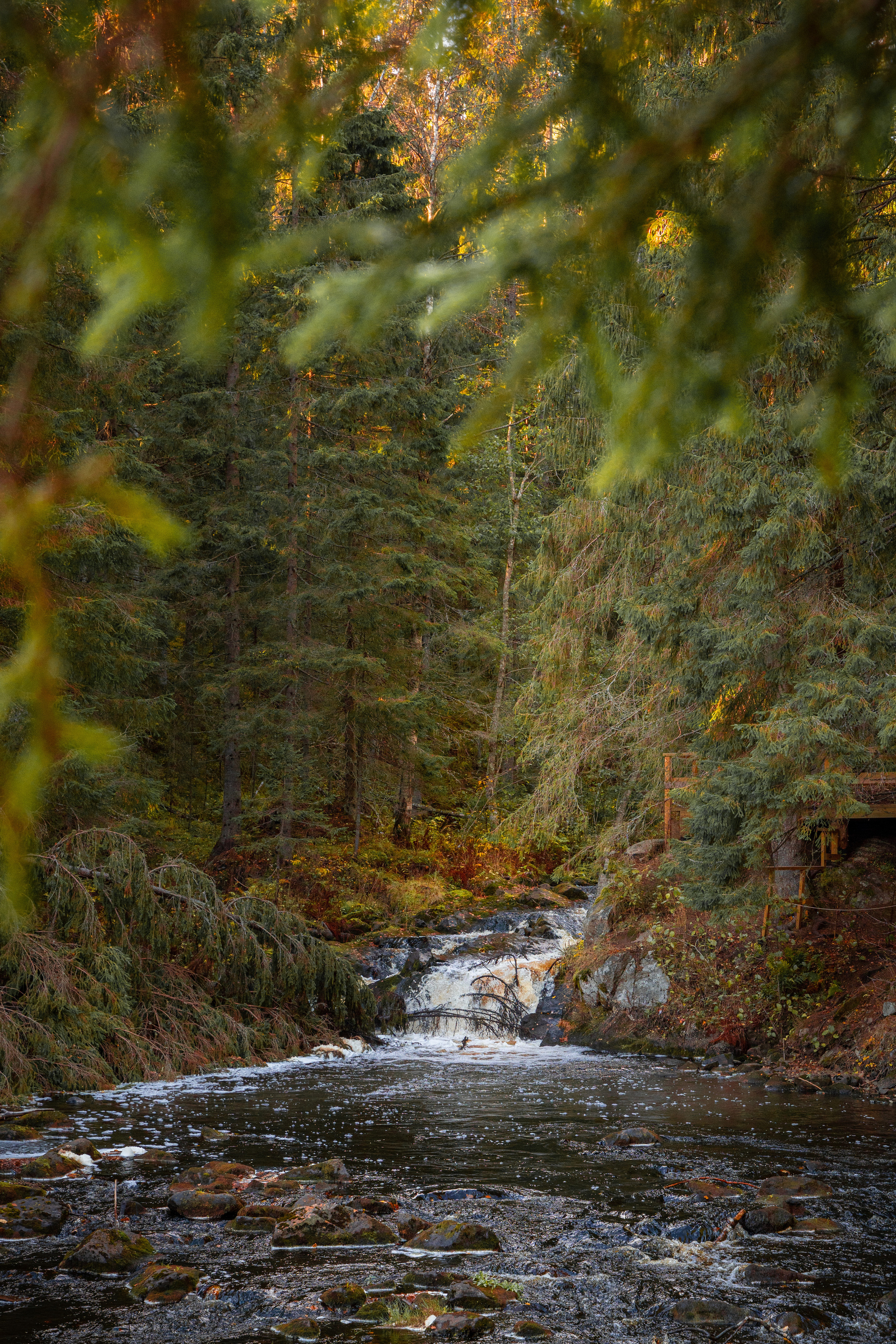 Пейзажи. Выпускные фотоальбомы Фотограф в Москве Устинович Алена