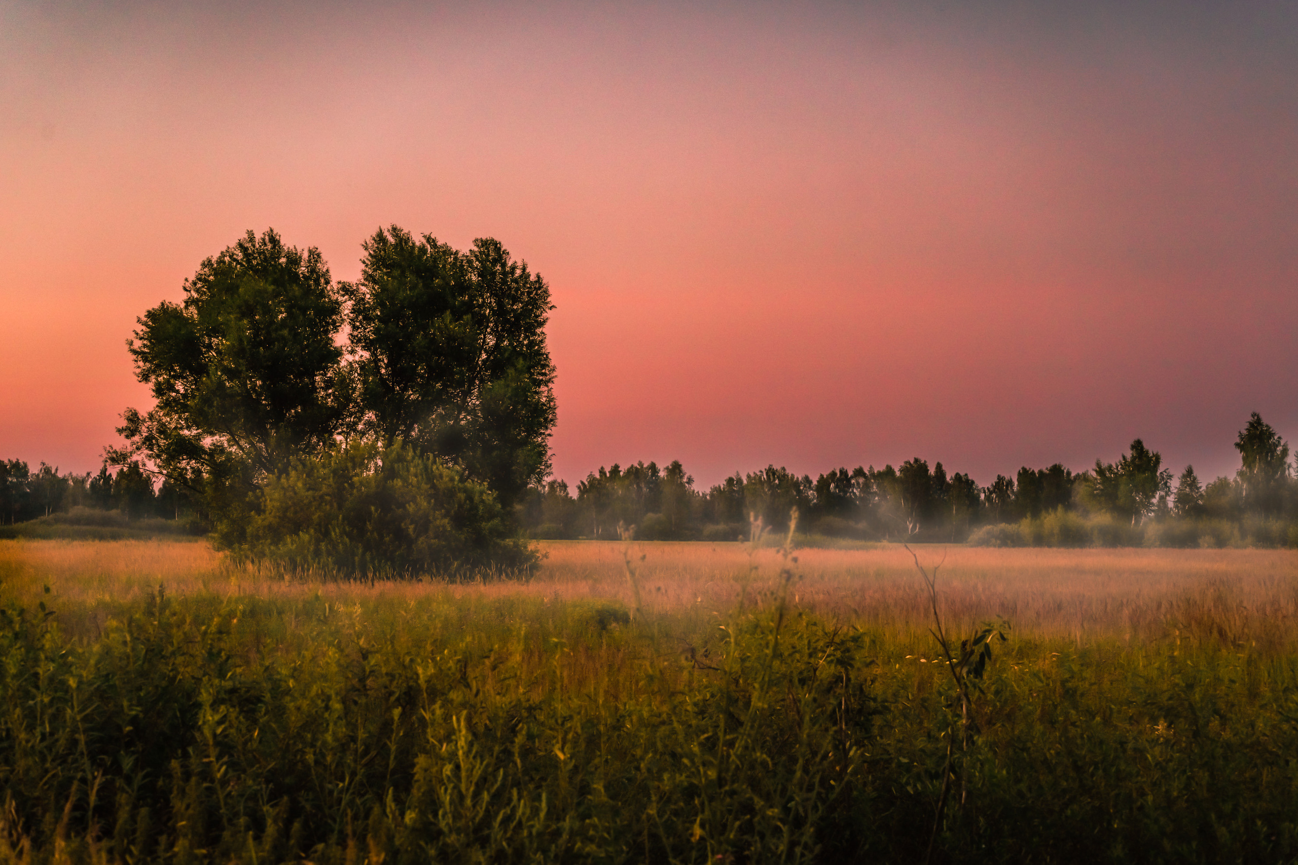 Пейзажи. Выпускные фотоальбомы Фотограф в Москве Устинович Алена