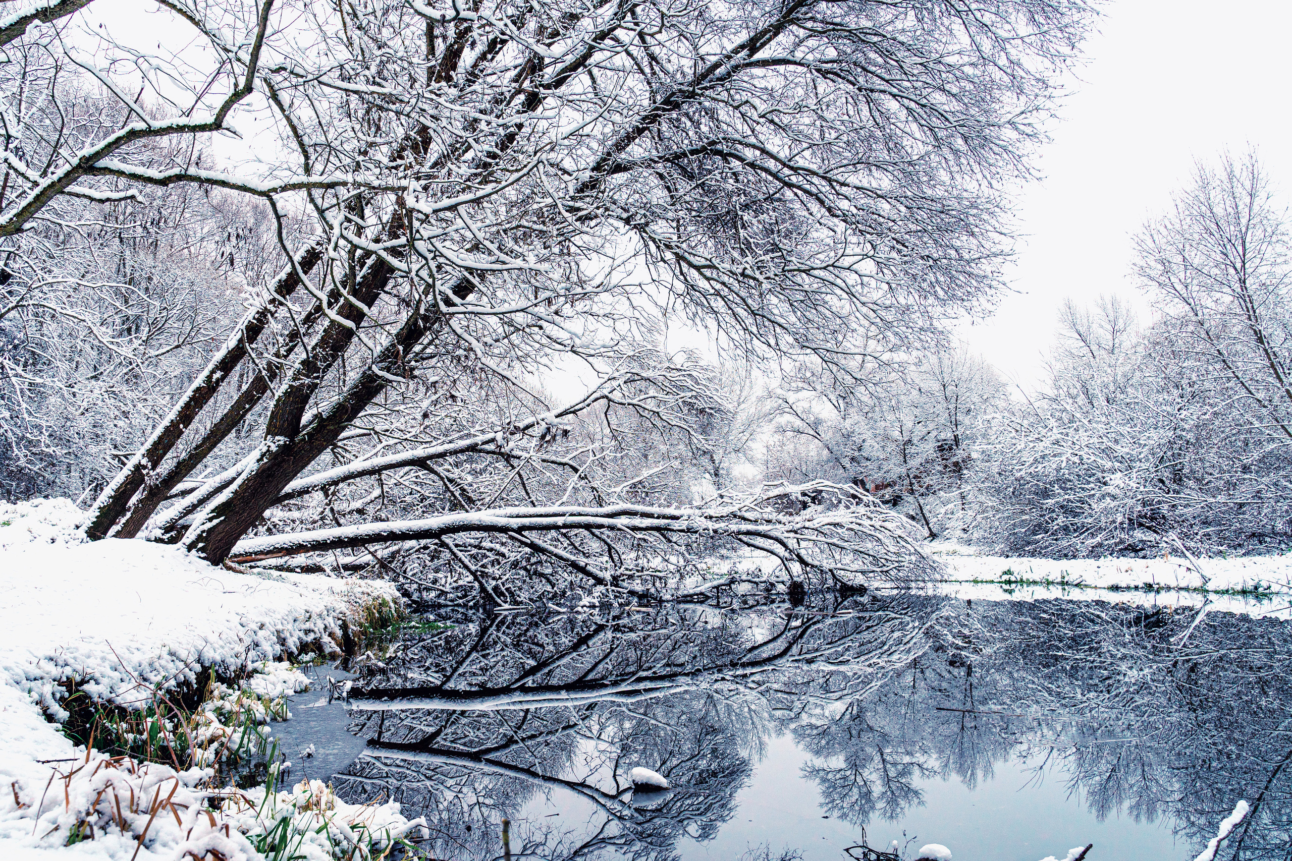 Пейзажи. Выпускные фотоальбомы Фотограф в Москве Устинович Алена