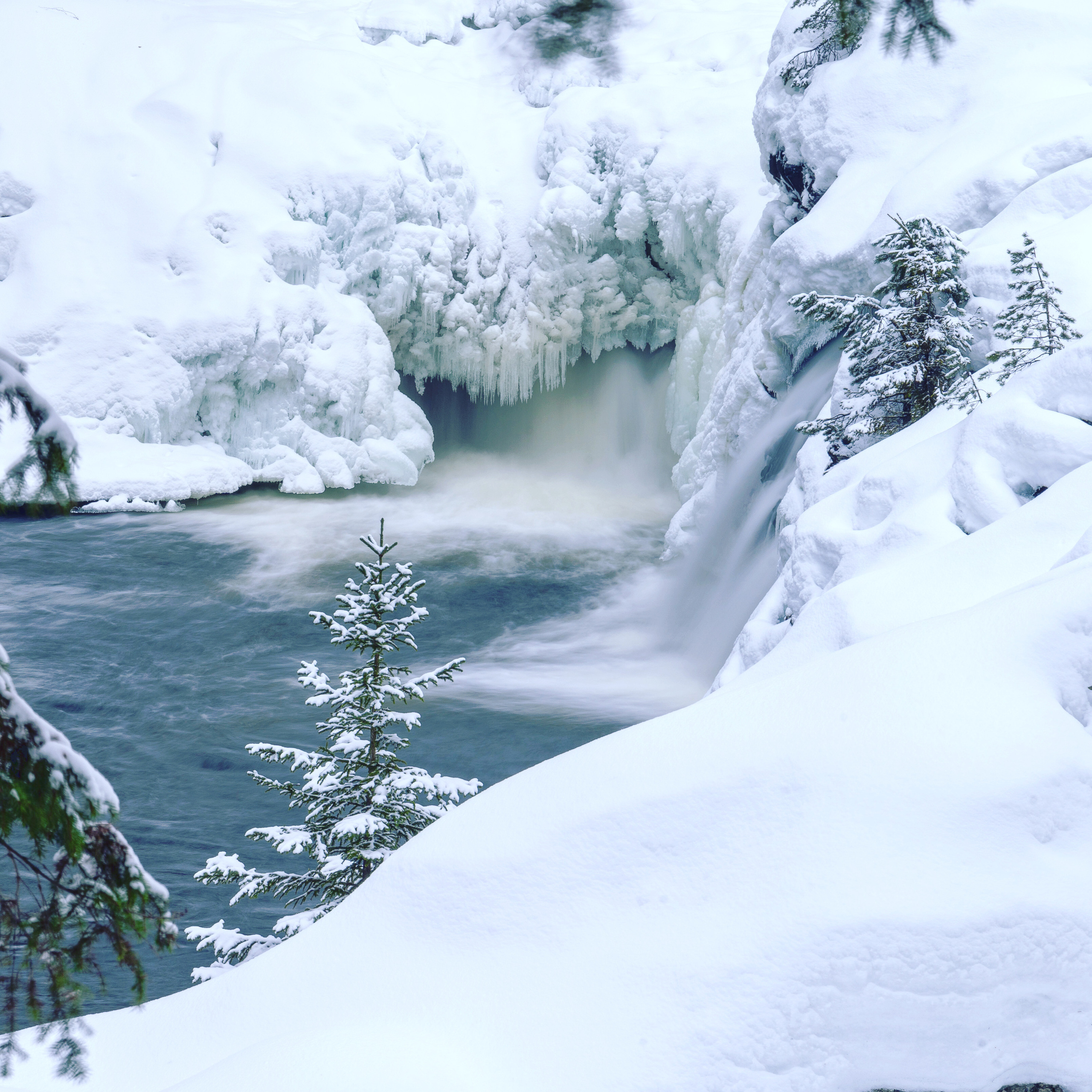 Пейзажи. Выпускные фотоальбомы Фотограф в Москве Устинович Алена