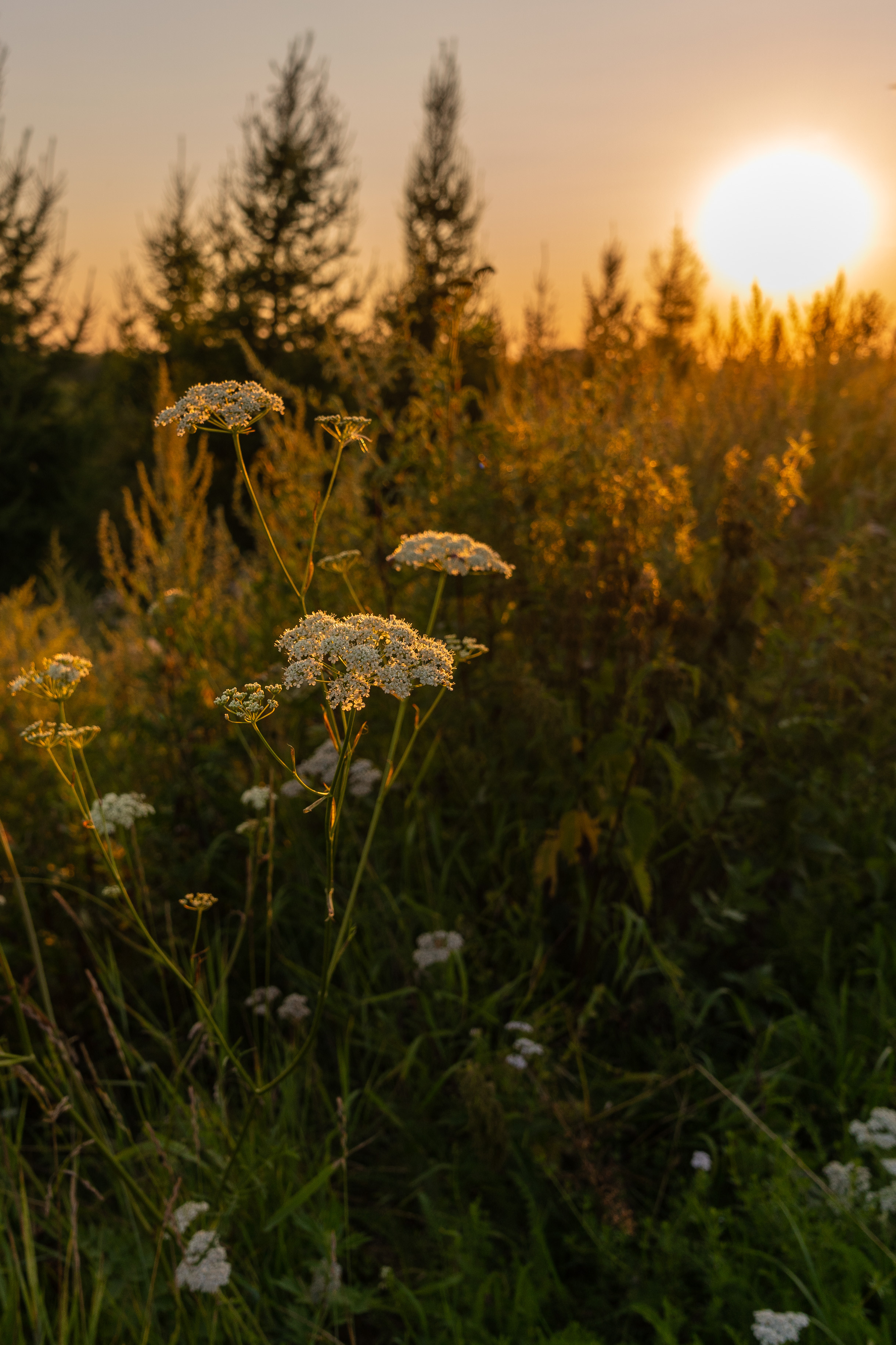 Пейзажи. Выпускные фотоальбомы Фотограф в Москве Устинович Алена