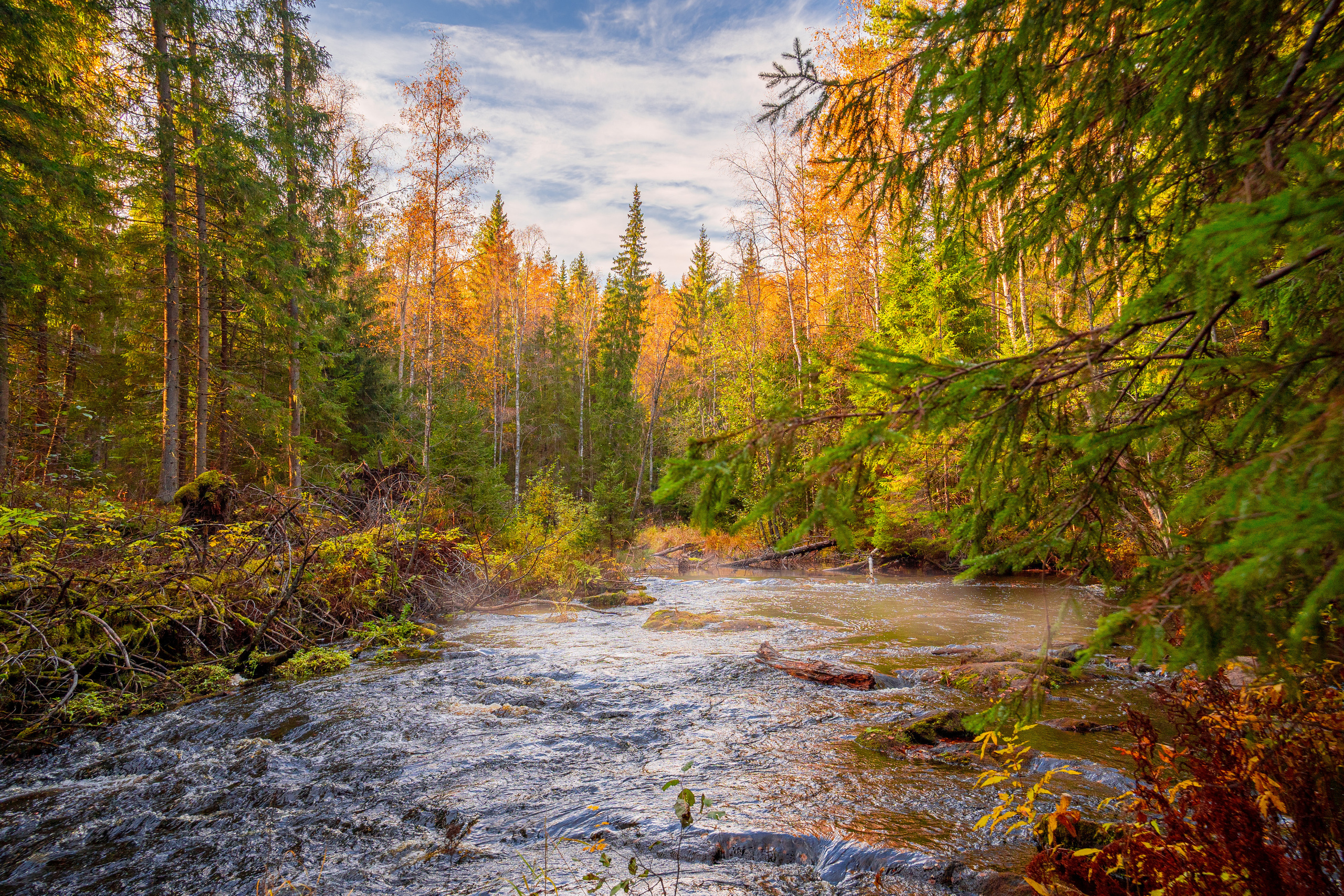 Пейзажи. Выпускные фотоальбомы Фотограф в Москве Устинович Алена