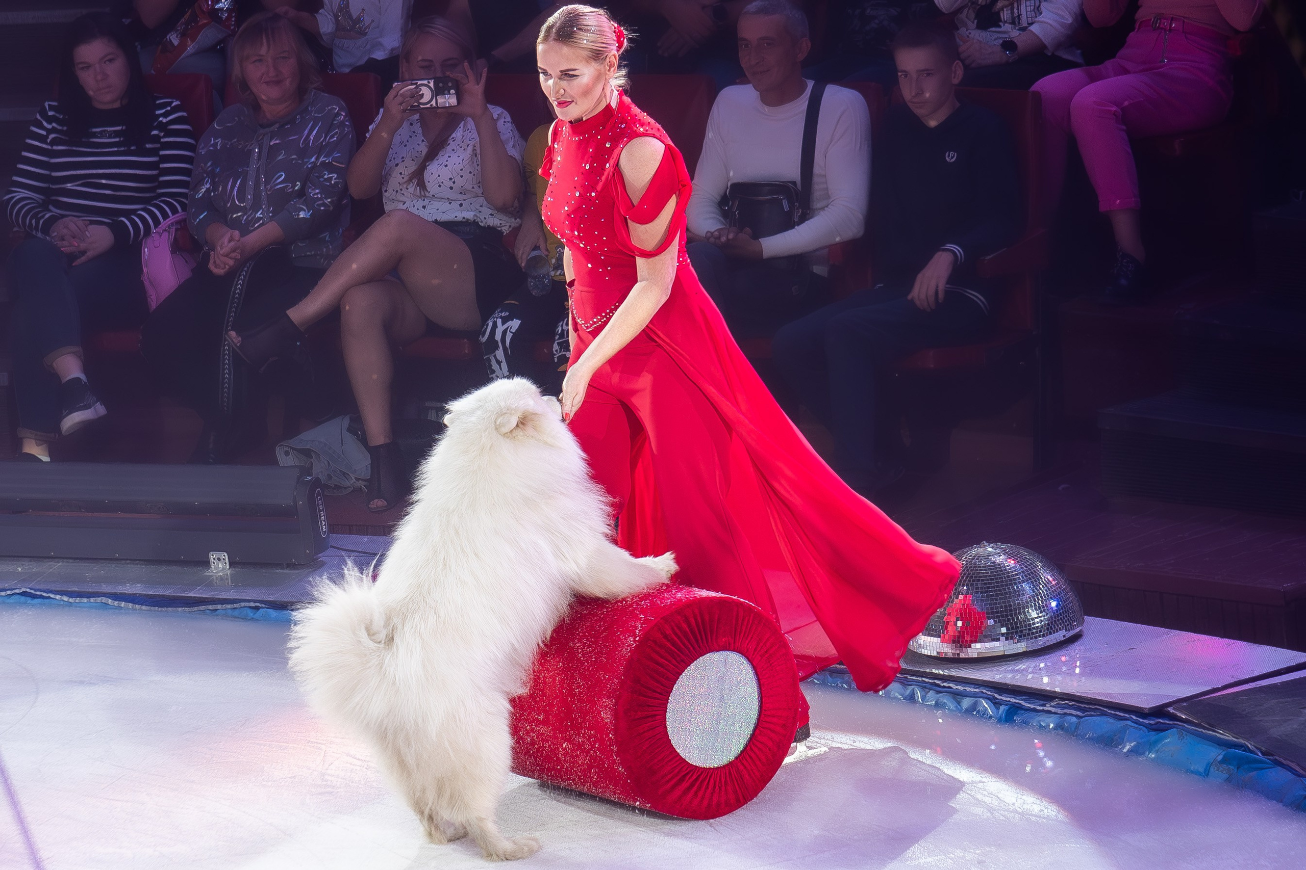 Цирк на льду «Айсберг» в Луганске. Фотограф в РФ и ЛНР Юлия Федосеева