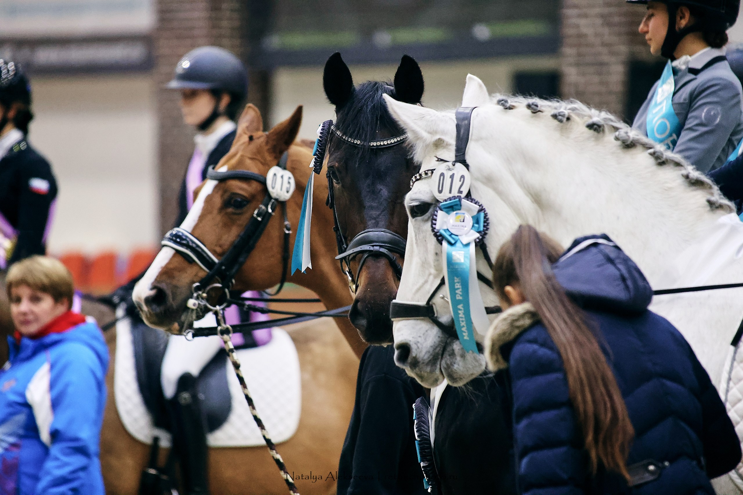 Финал Maxima Park по выездке, Maxima Stables | 10'2023. Репортажный фотограф и ретушер в Москве Наталья Алексеева