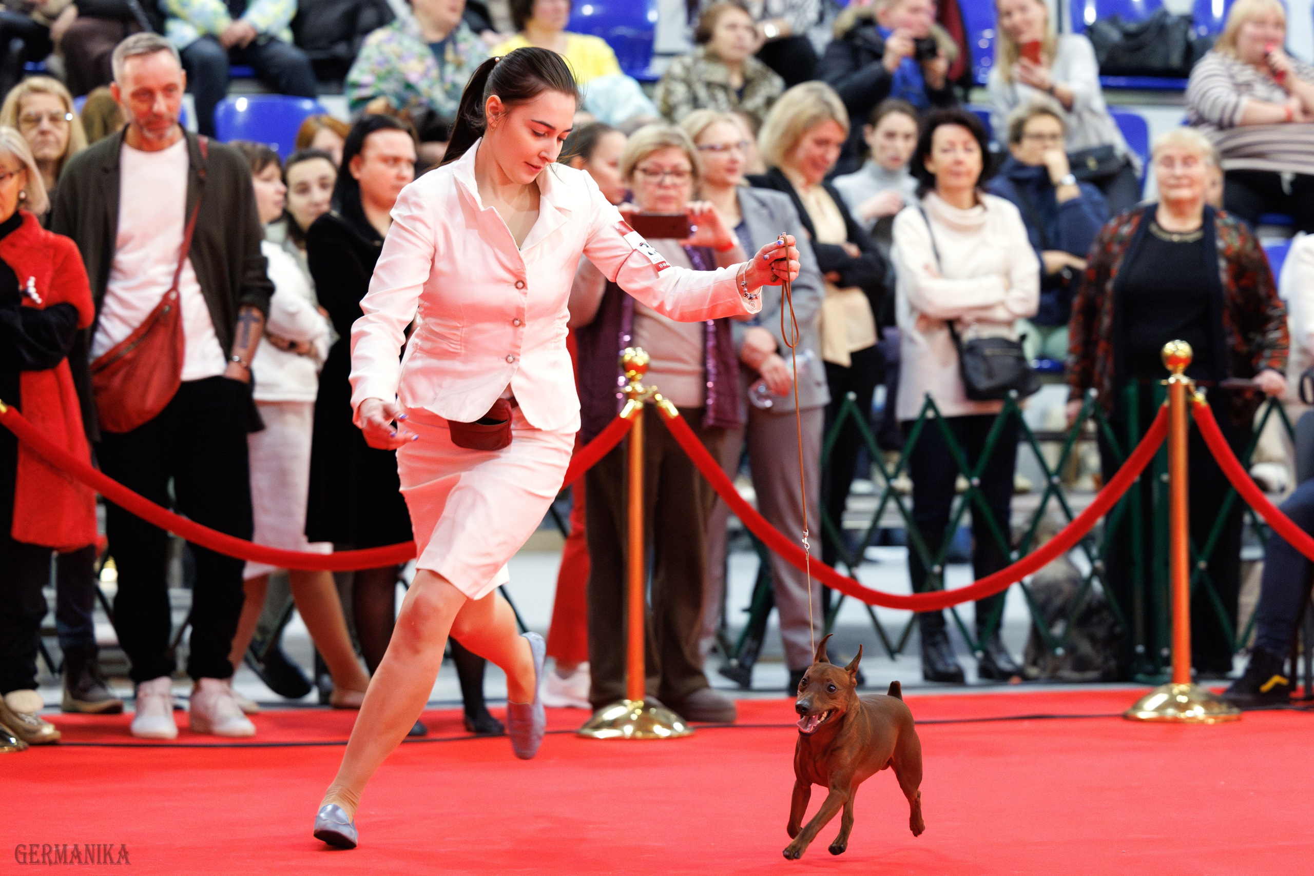 Лучшие Собаки России 17-18.02.2024. Фотограф-анималист Юлия Германика
