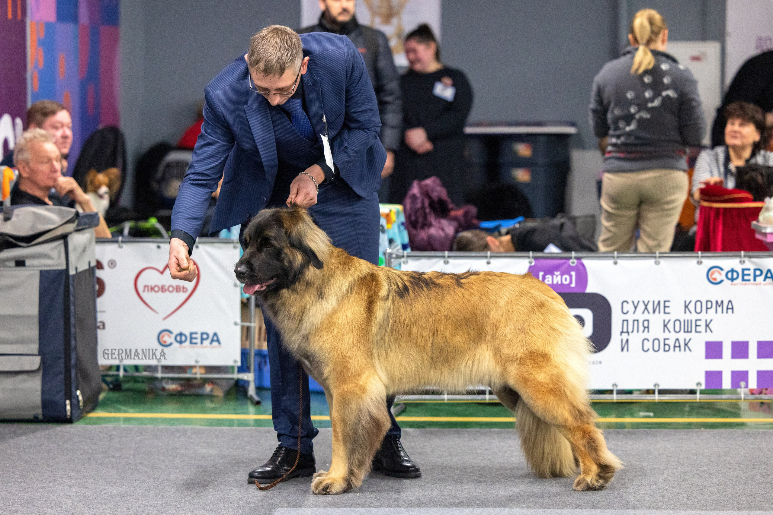 Сфера 28.01. и 4.02.2024. Фотограф-анималист Юлия Германика