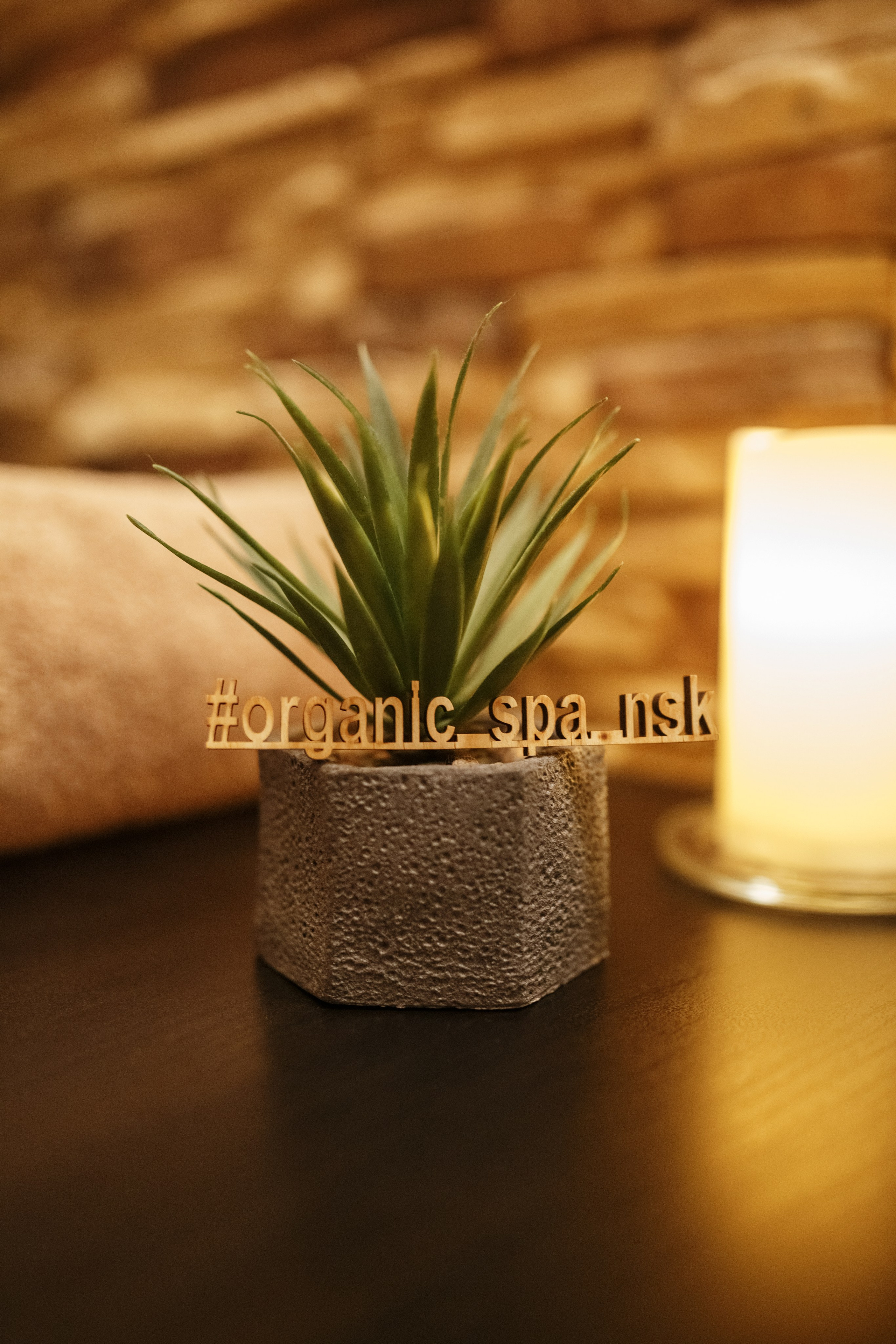 Органик. Портфолио