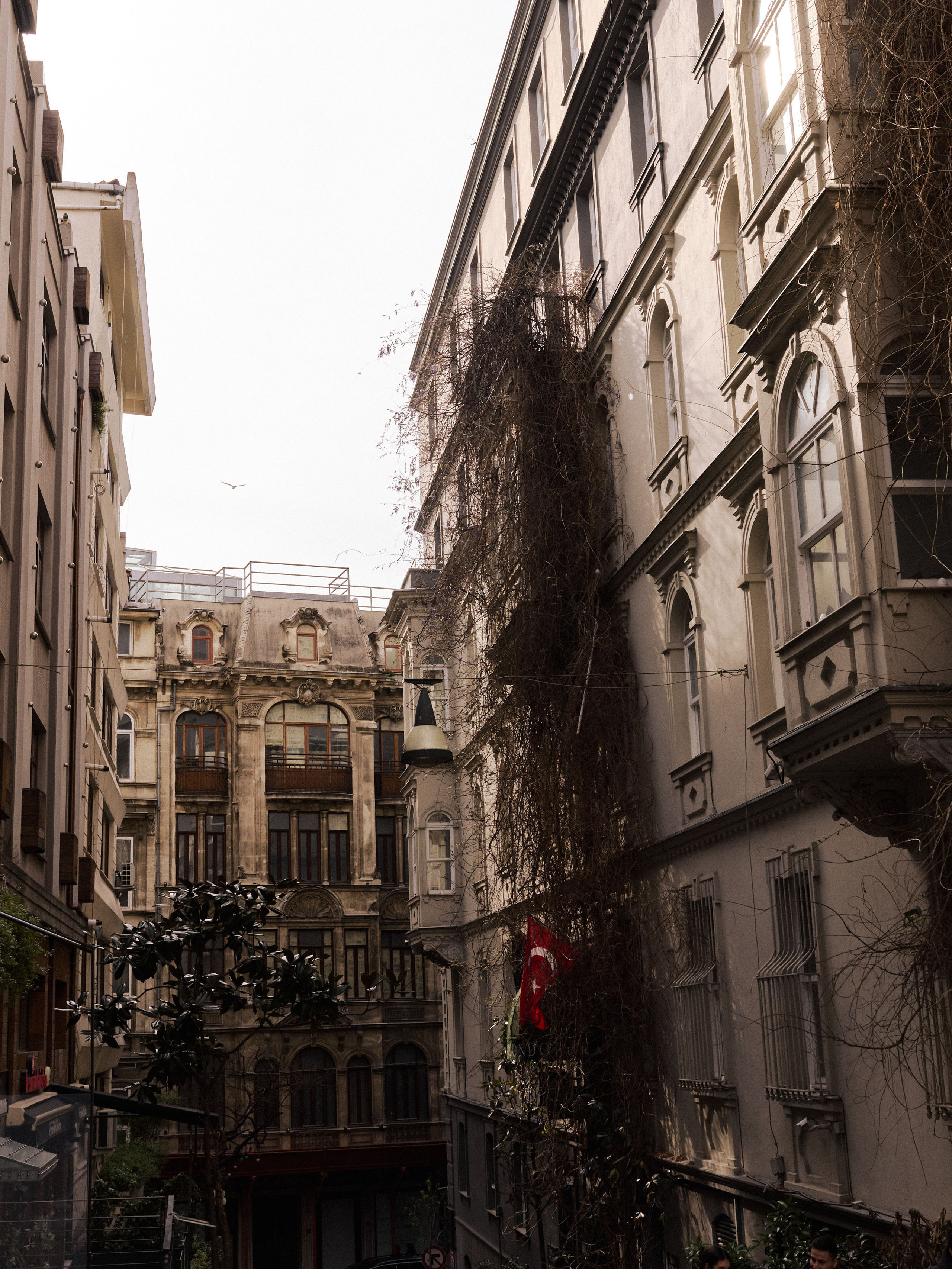 Другое 2. Jorgis Talè — photographer, kind person, teacher of arts and other mag