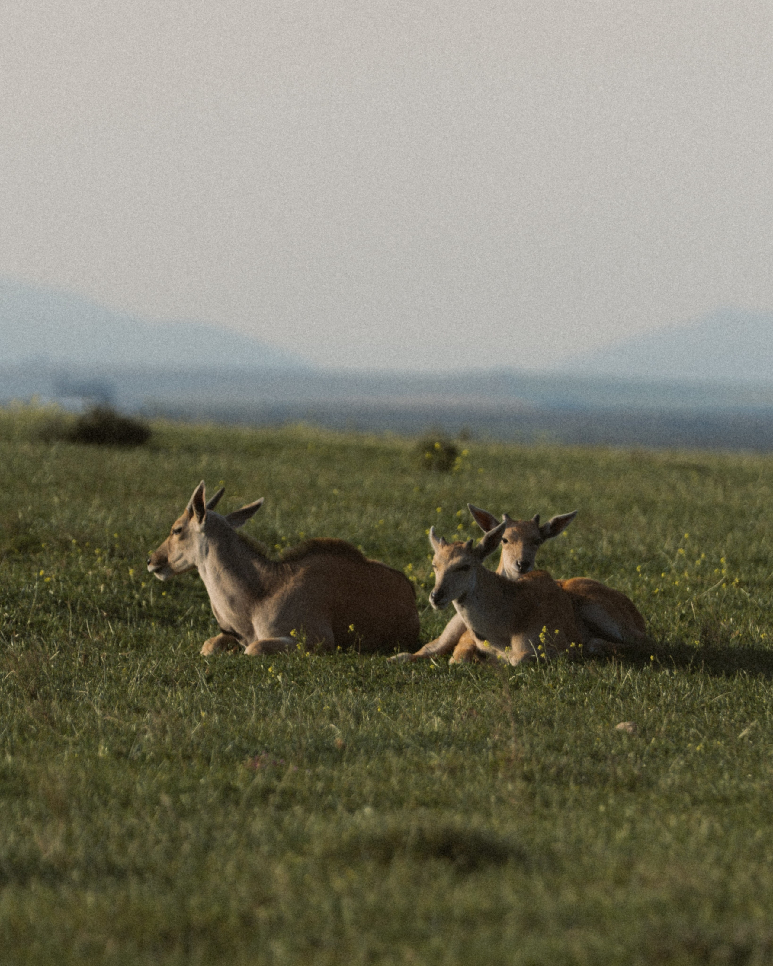 Africa/UAR. @oljiofilm: Олег Иванов — фотограф