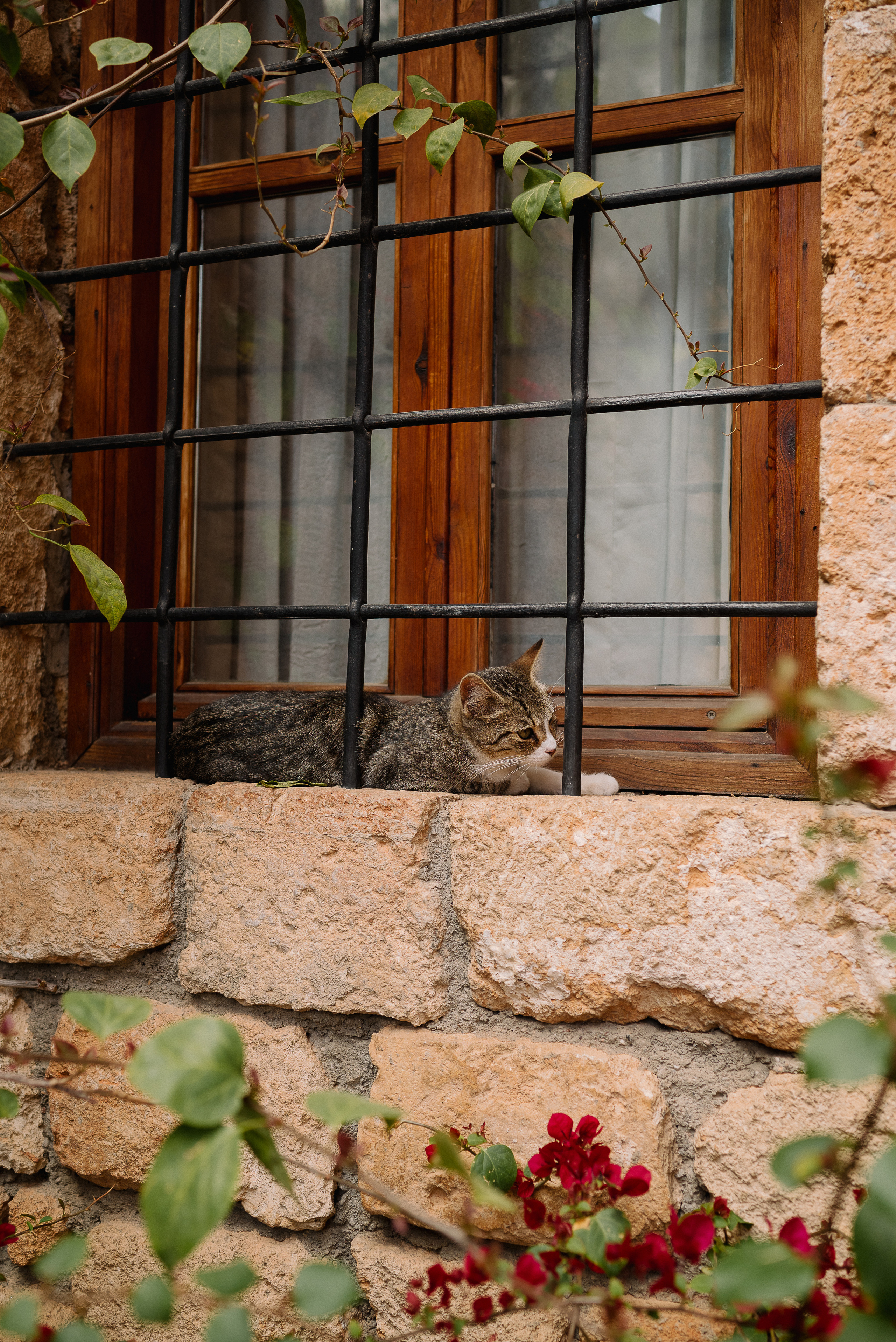 На берегу. Ваш свадебный и семейный фотограф