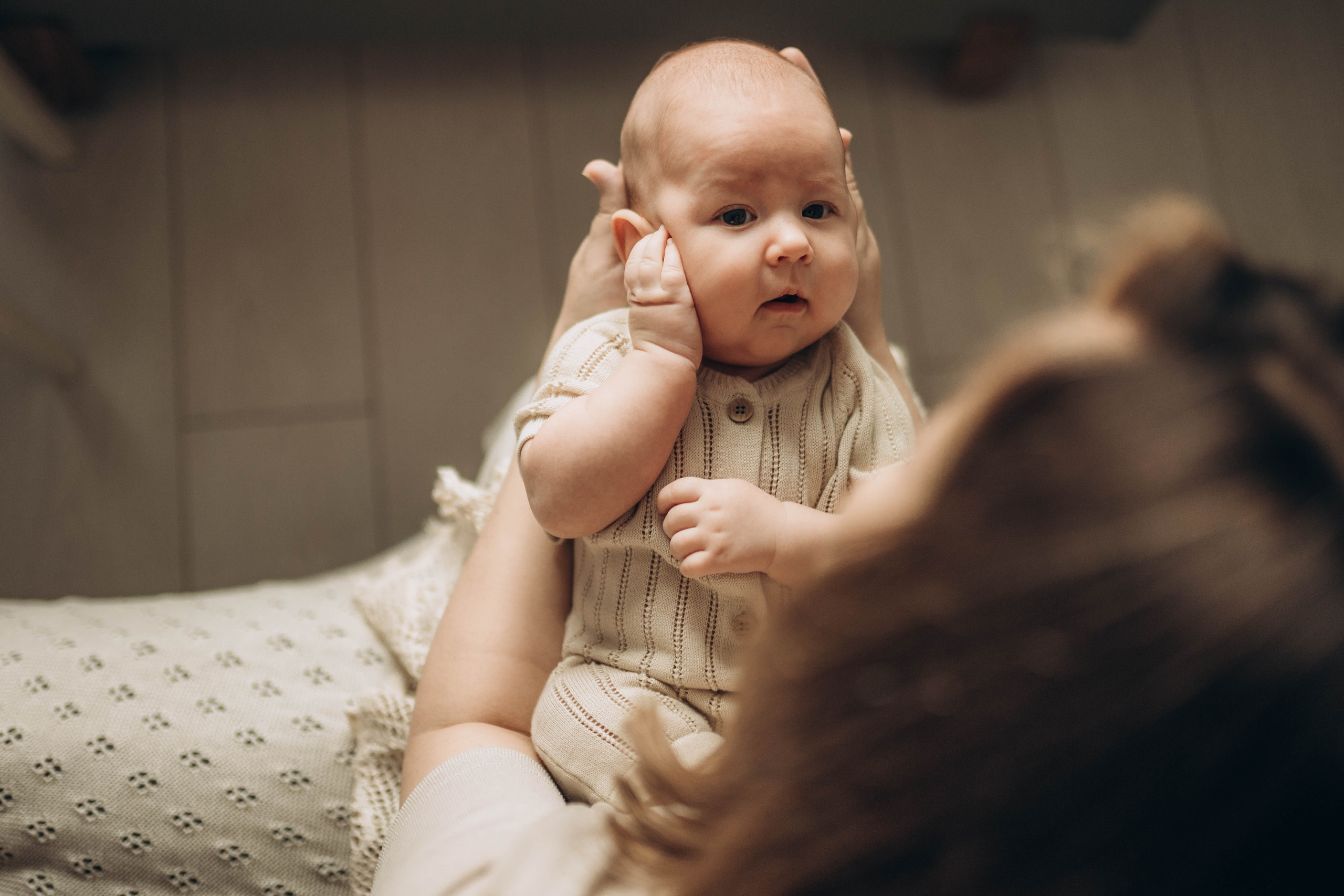 семья фотосессия семейная ньюборн фотограф лайфстайл семейная новорожденные фотография  малыш