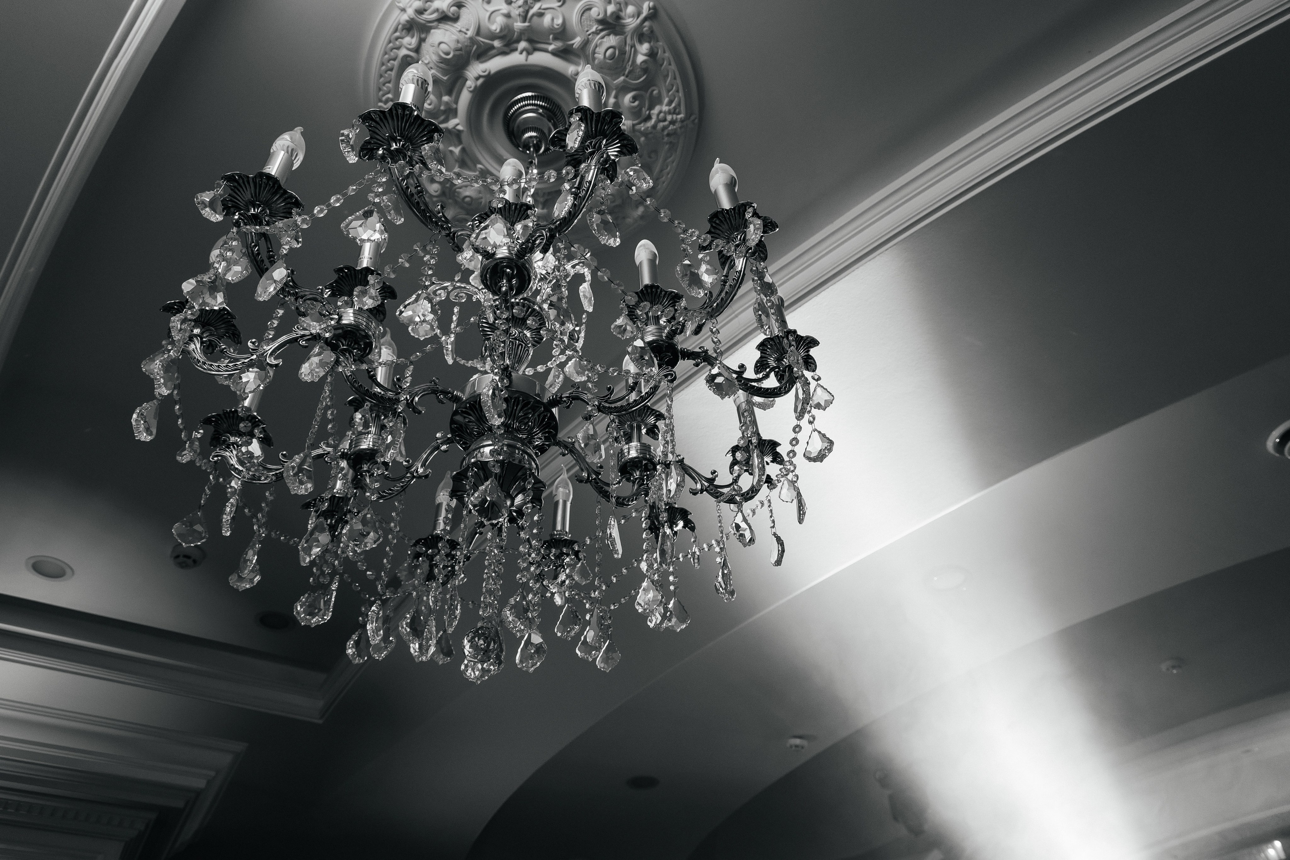 N&V. Фотограф Таганрог Хребет София