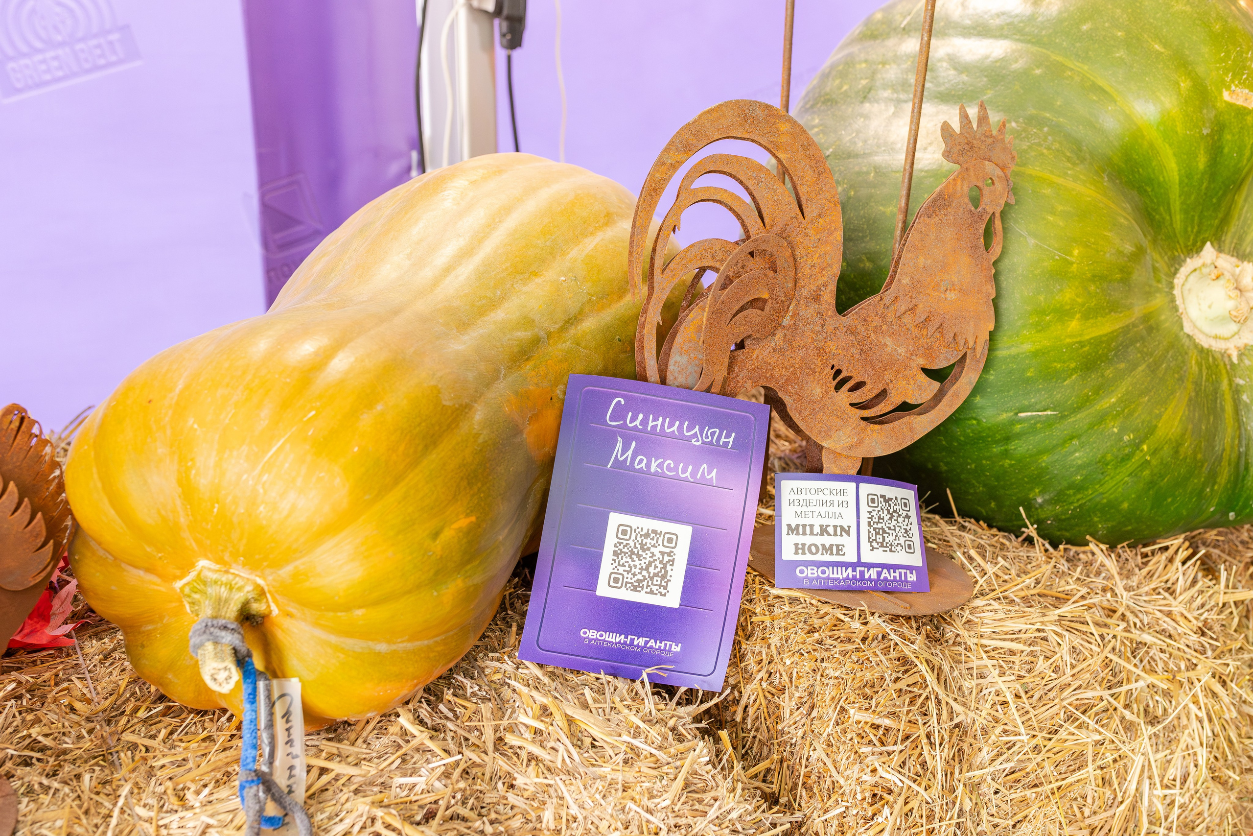 Овощи-гиганты. Александра Куликова фотограф, Москва