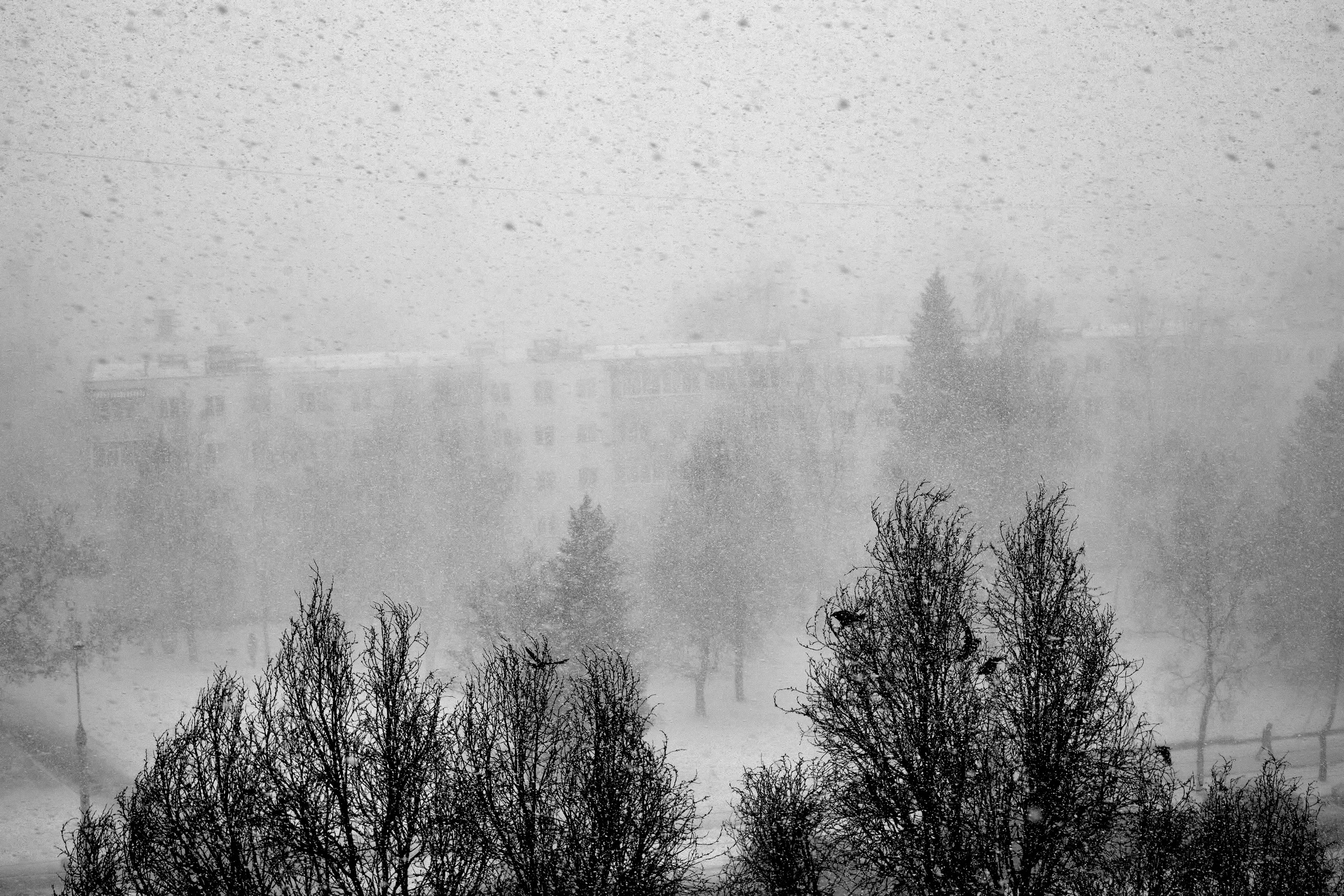 Belarus. Фотограф Слава Орловский