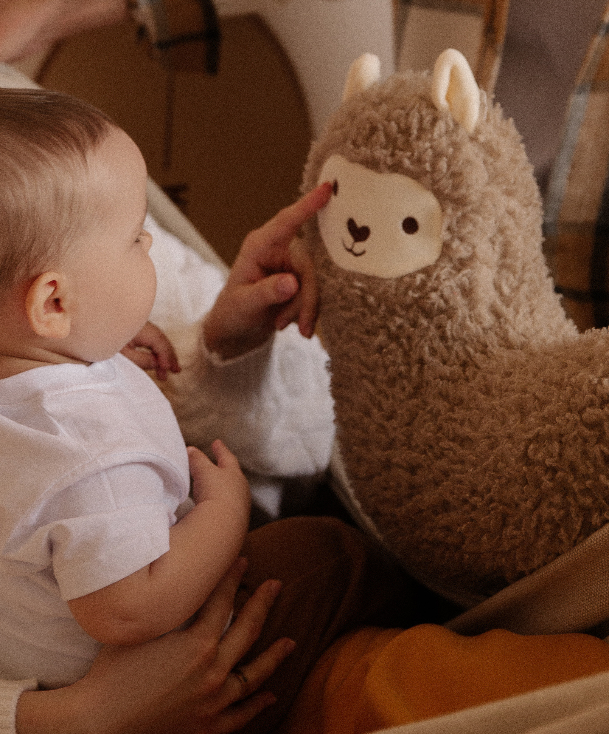 Съемка, приуроченная к годику Миши. Фотограф в Краснодаре и Краснодарском крае