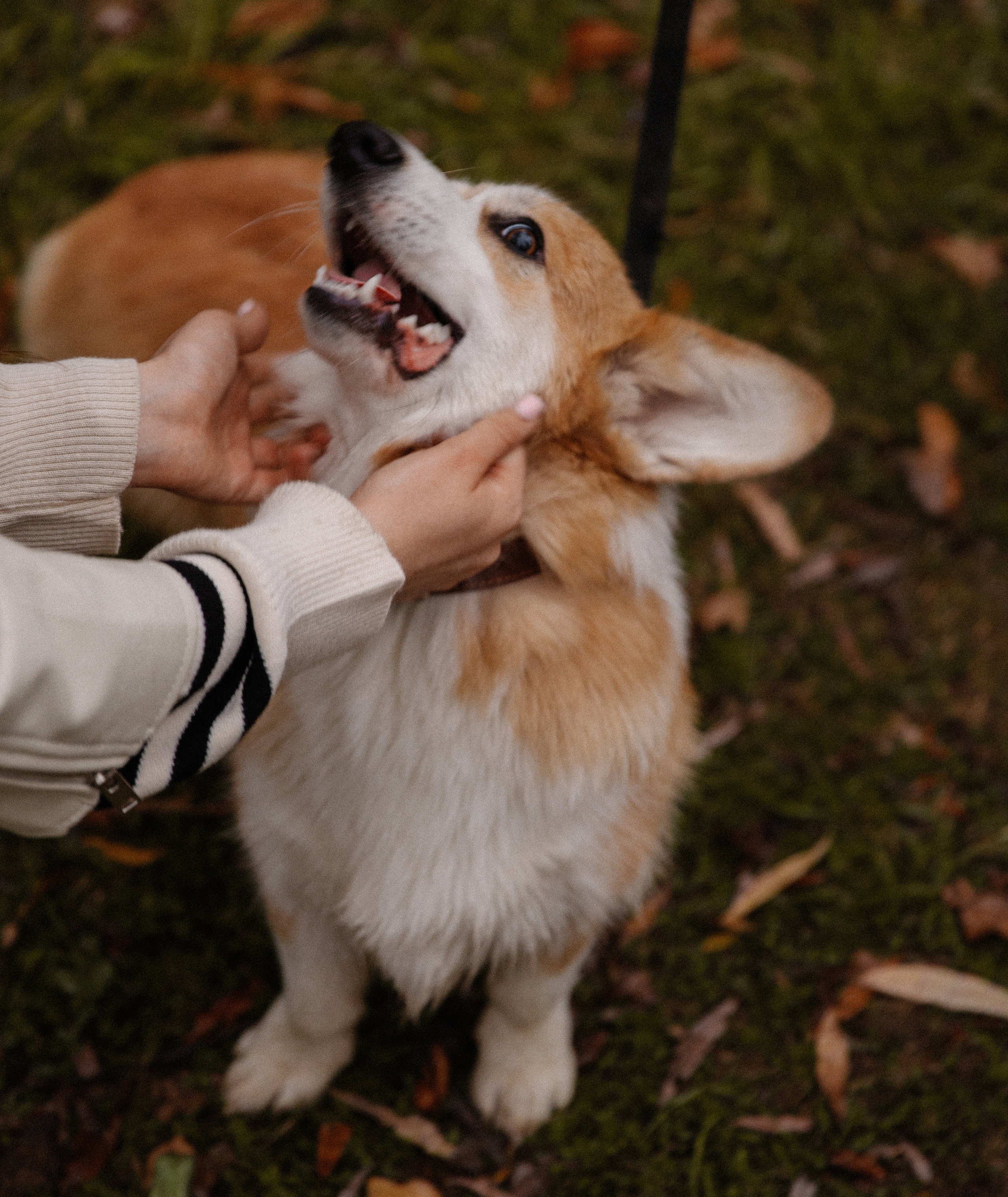 Ира & Андрей. Фотограф в Краснодаре и Краснодарском крае