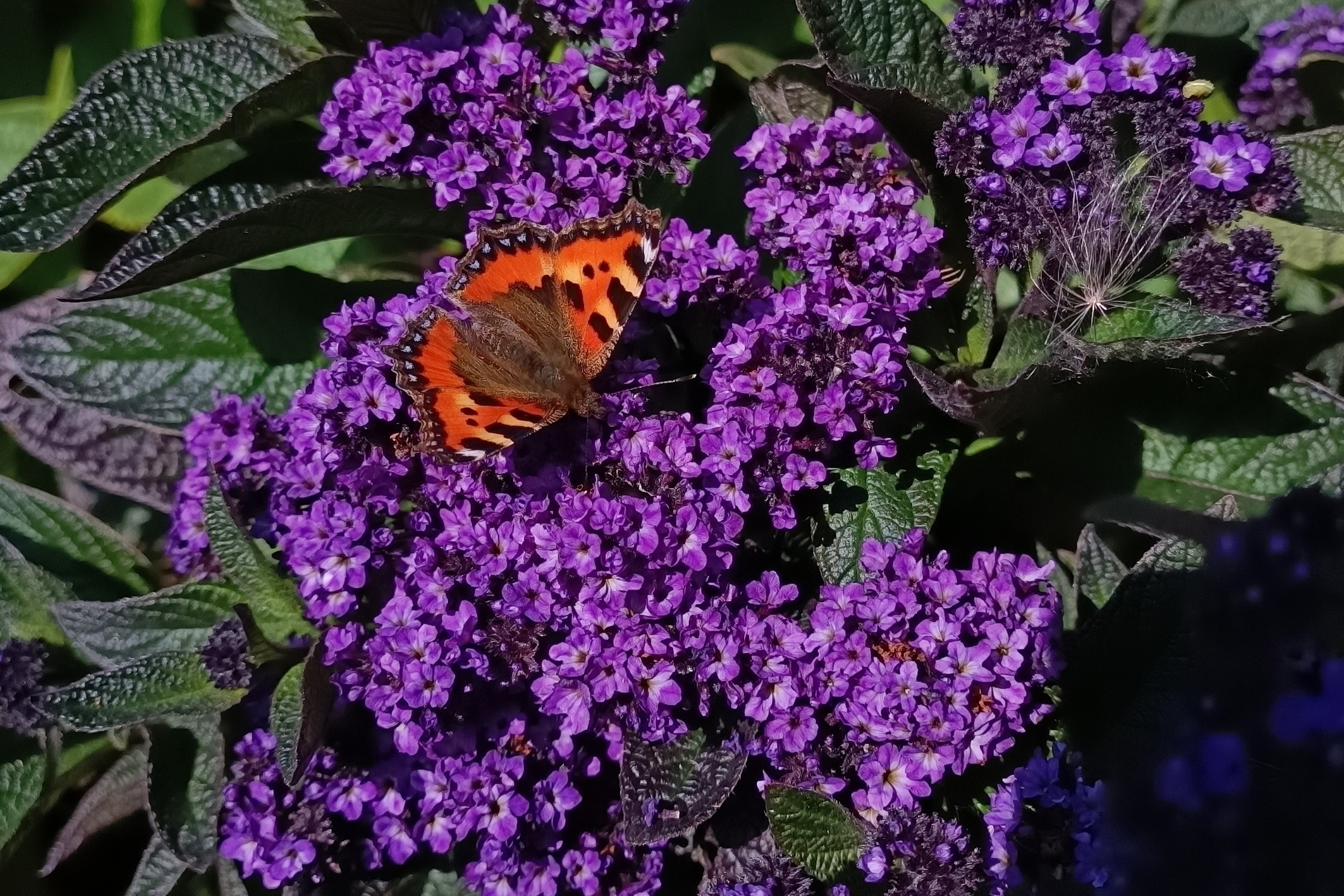 About me. Author’s fine art prints with international delivery