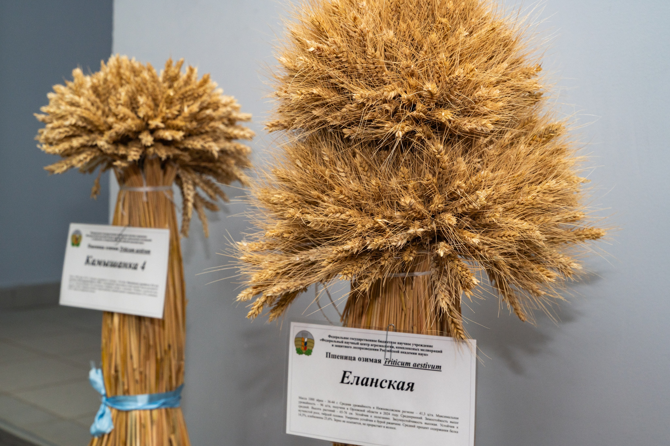 Международная конференция РАН