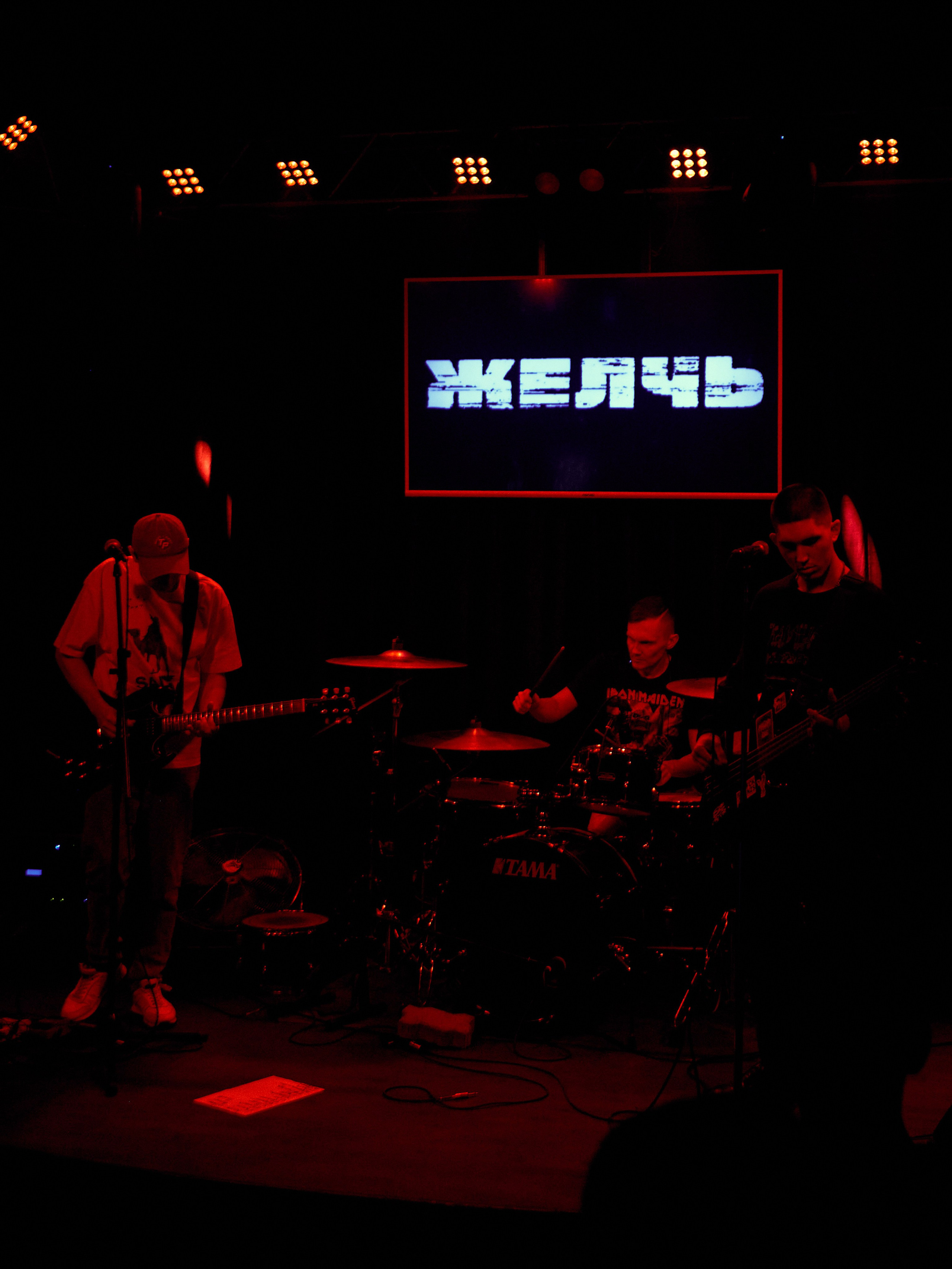 День рождения группы «Желчь». Фотограф Юлия Маринина