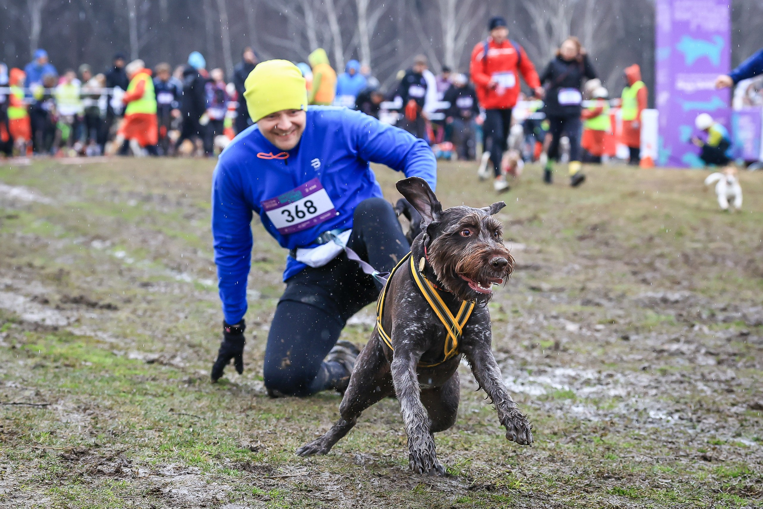 Быстрый Пёс!. Свадебная фотосъёмка в Москве, Туле