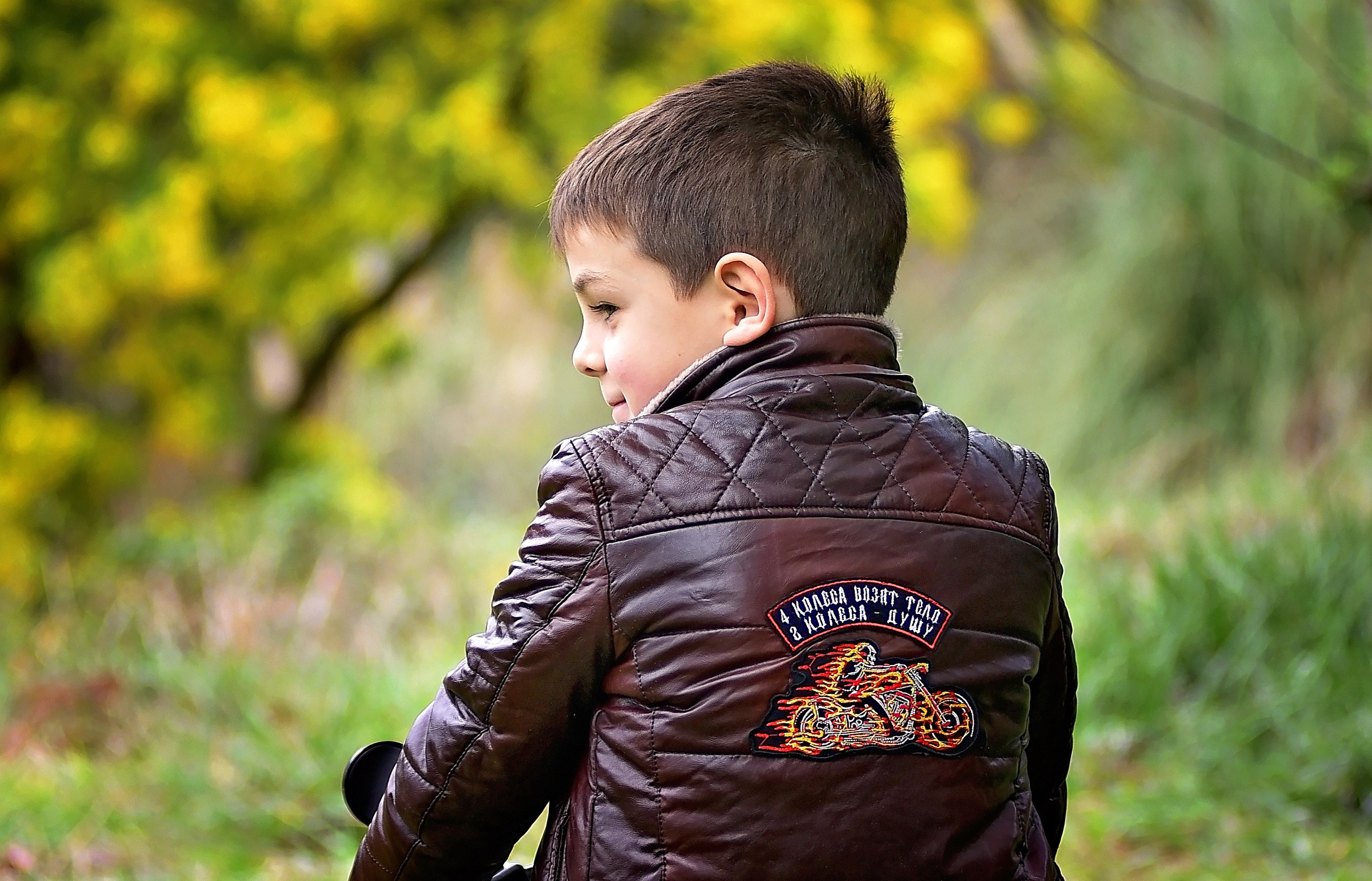 Мимоза. Главная