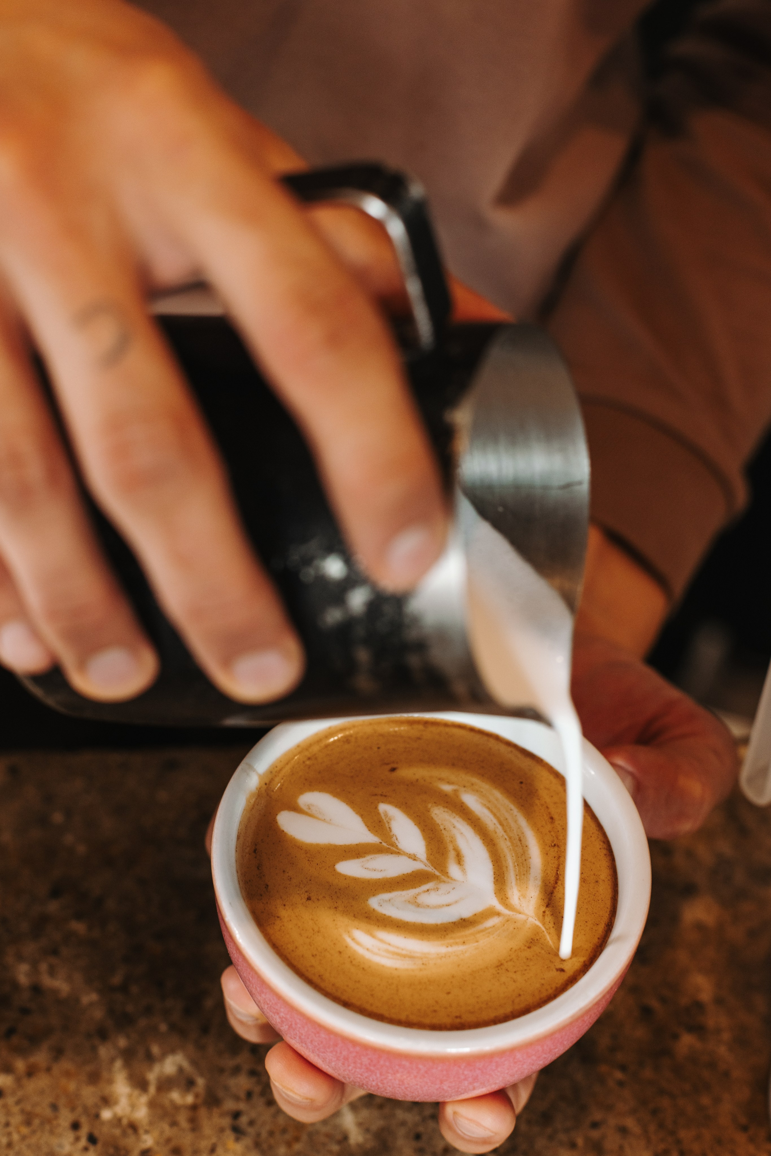 Bary Coffee. Фотограф на Юге России