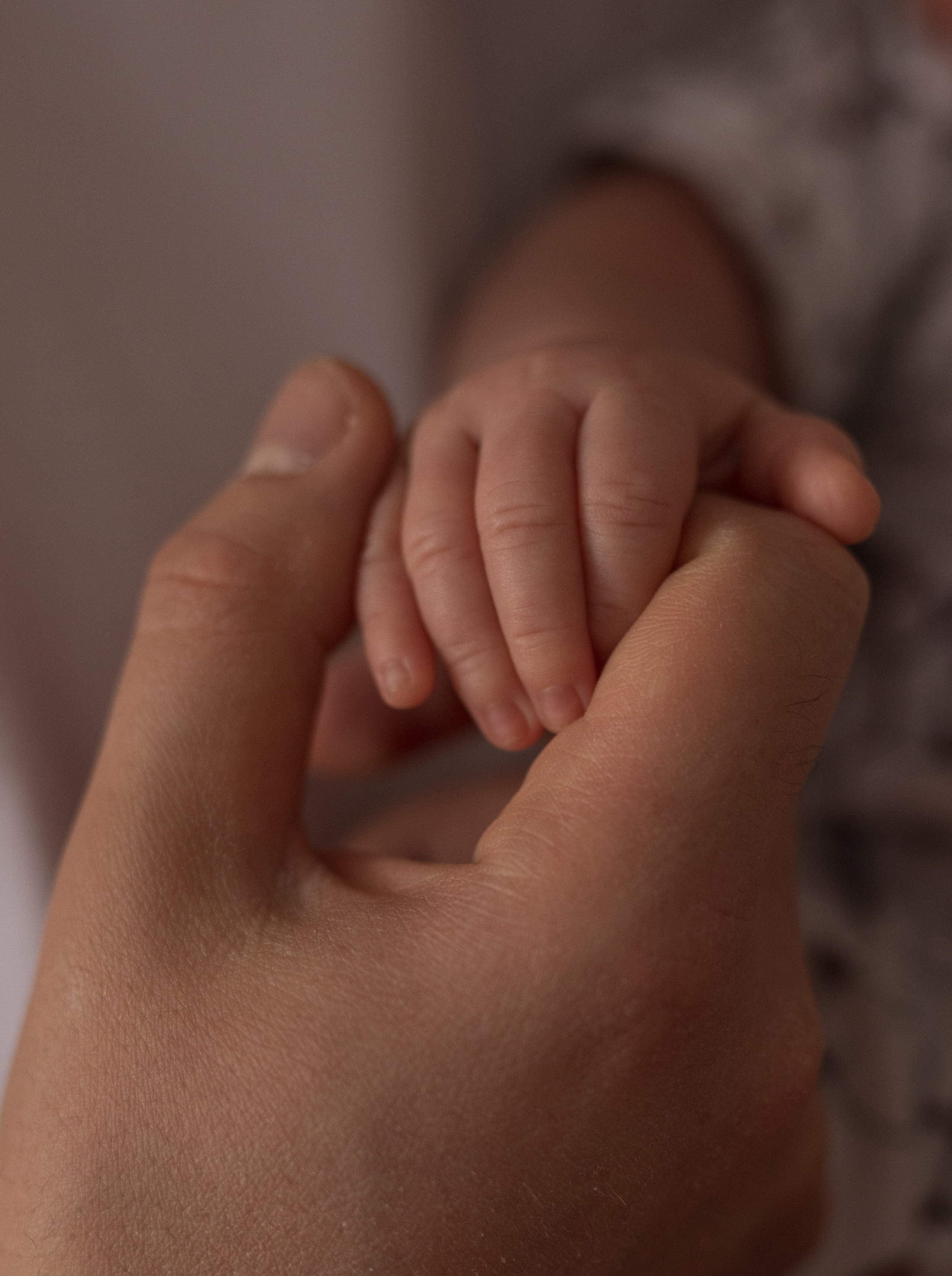 Аня, Саша и Маратик. Фотограф в Нижнем Новгороде, Дзержинске Олеся Хозяева