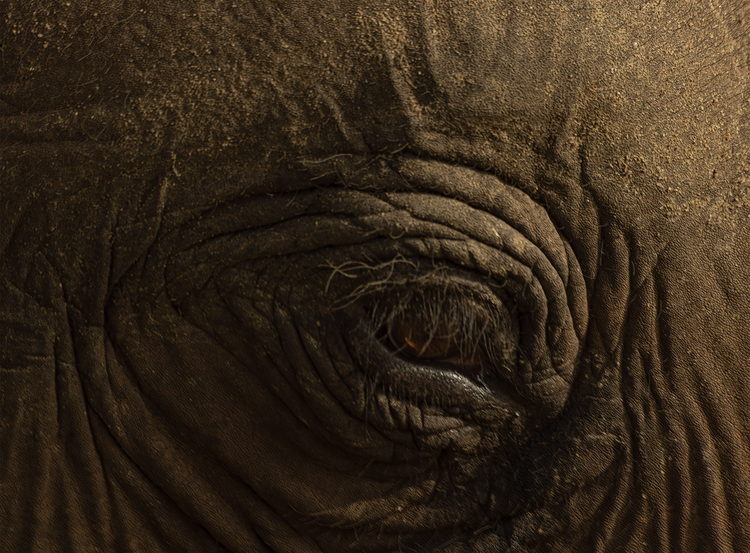 Amazing Ceylon. Art Рhotographer Russia/Moscow