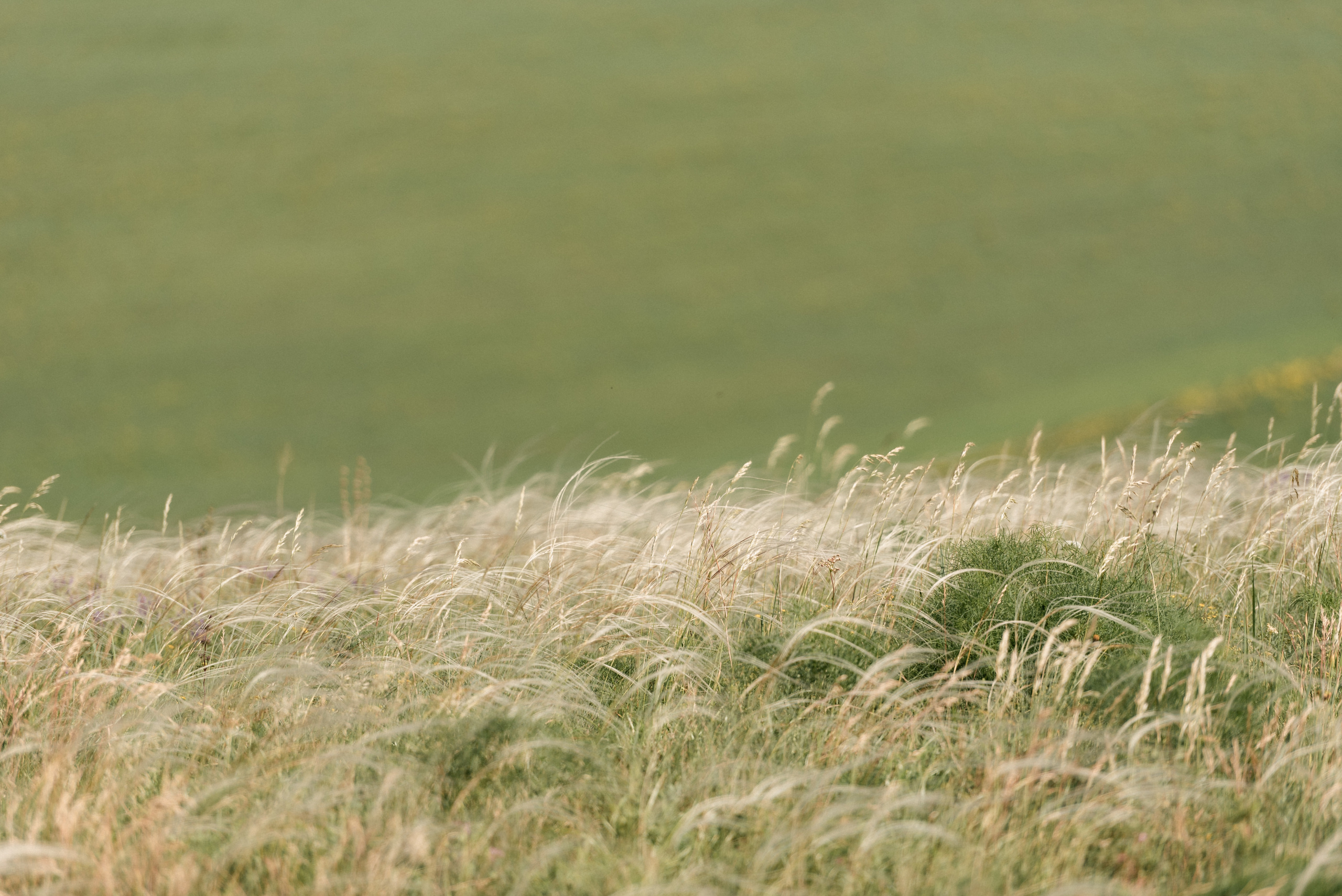 Предсвадебная фотосессия в горах. Сергей Богомолов. Свадебный и семейный фотограф