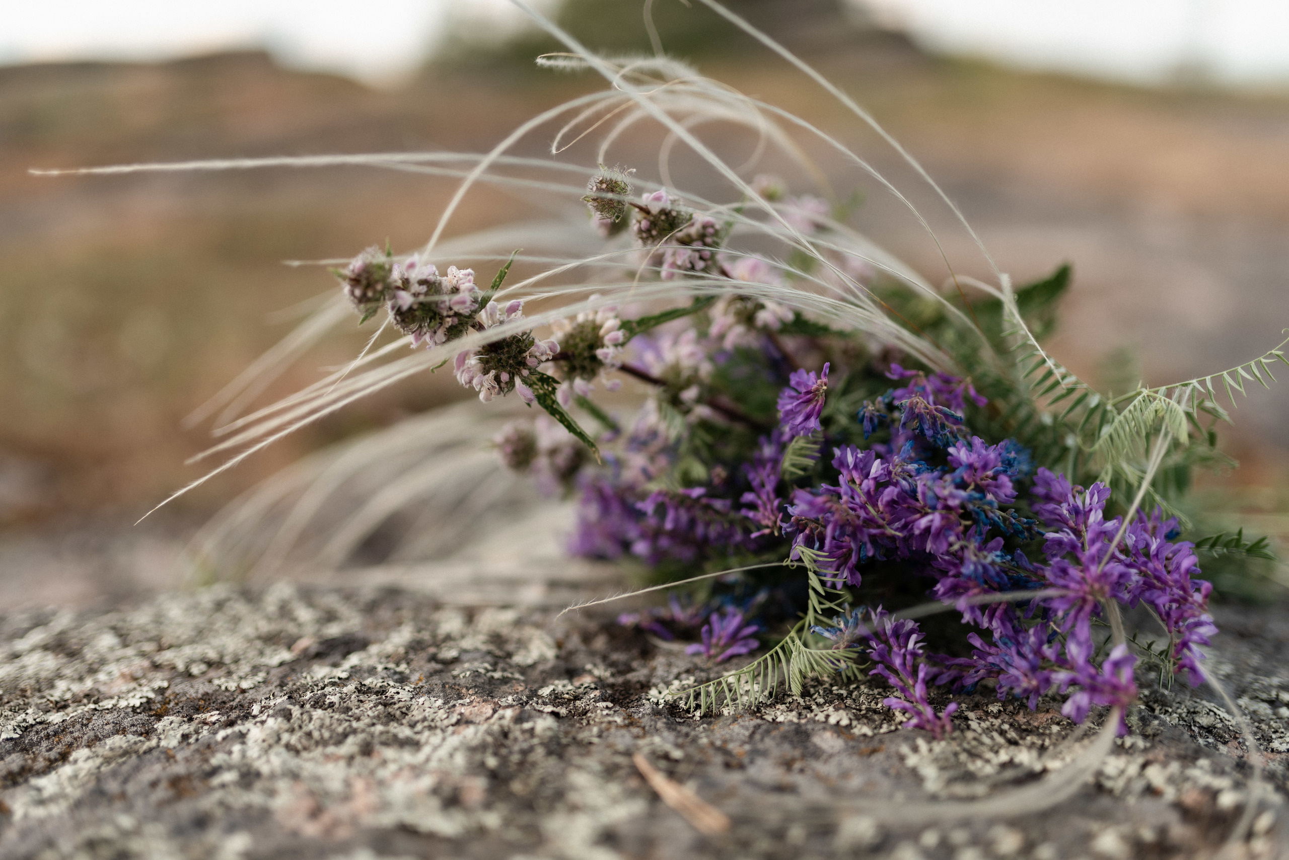 Предсвадебная фотосессия в горах. Сергей Богомолов. Свадебный и семейный фотограф