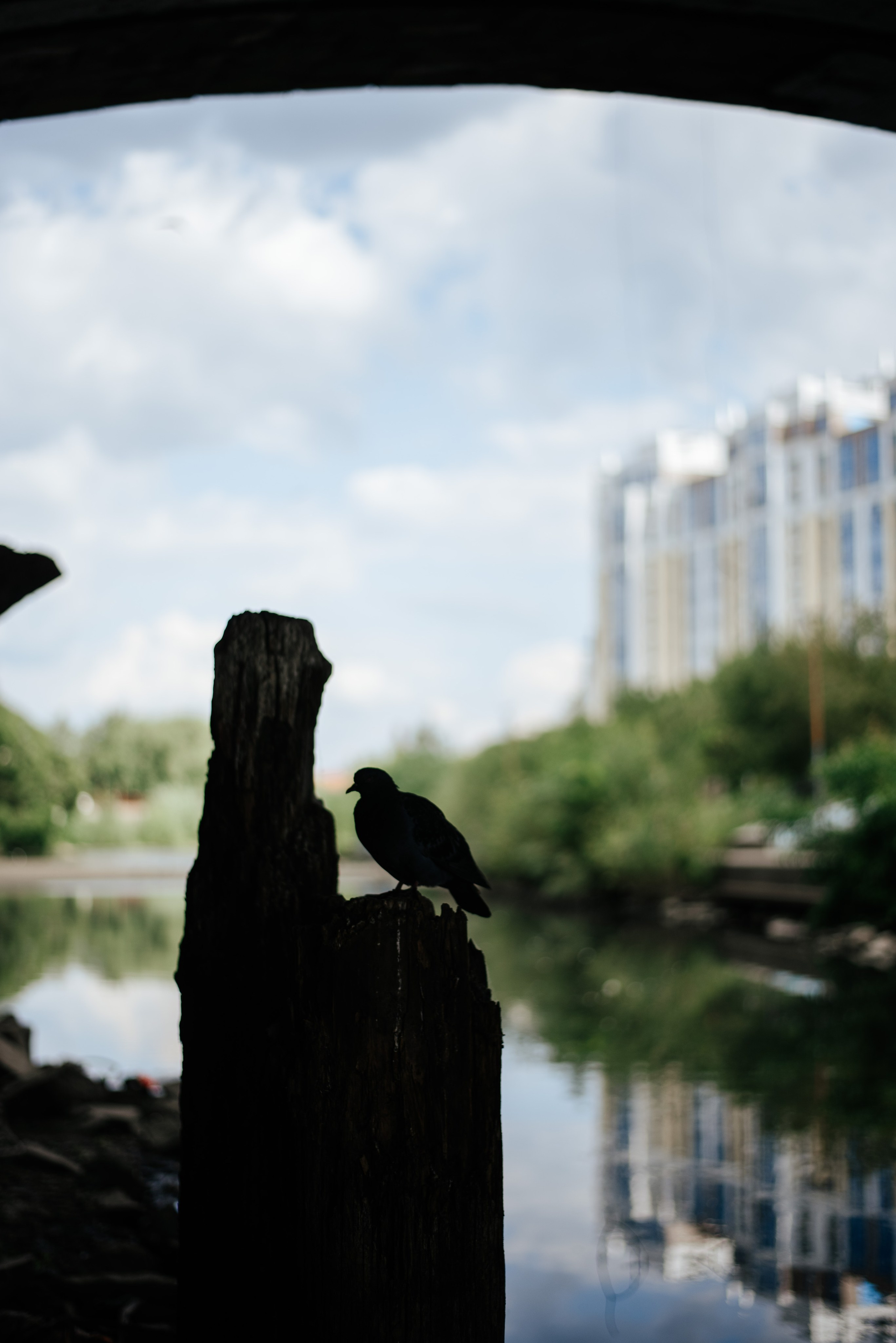 Катя и Даня. Фотограф в В Полевском и Екатеринбурге Ольга Расуп