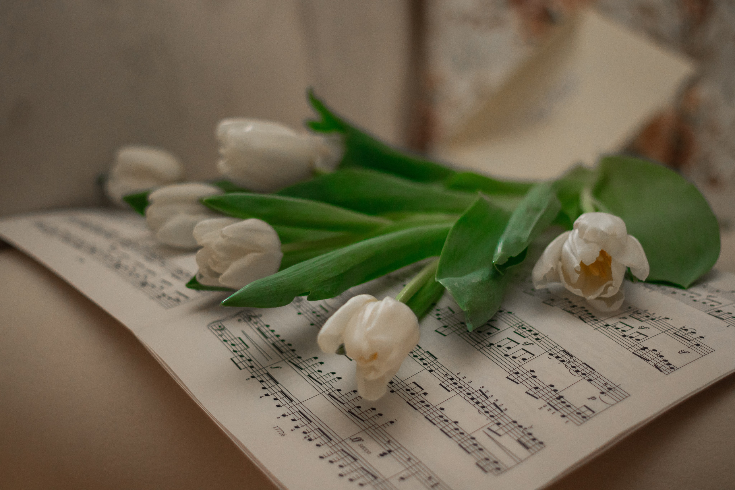 Катерина. Портретный и репортажный фотограф